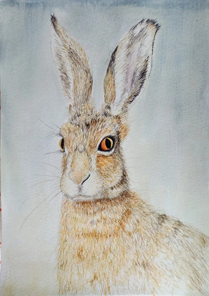 6  Week Beginner Watercolour Painting Class