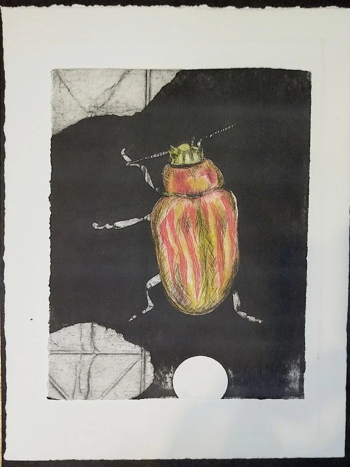 'Beetle' 3 Color Tetra Pack Print - Limited Edition - Unframed