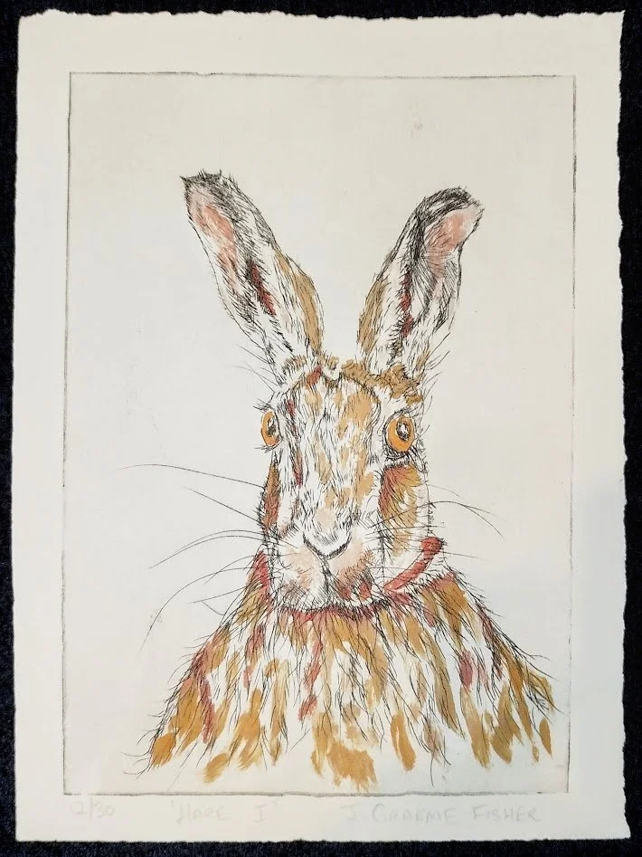 'Hare I' Intaglio Print - Limited Edition - Unframed