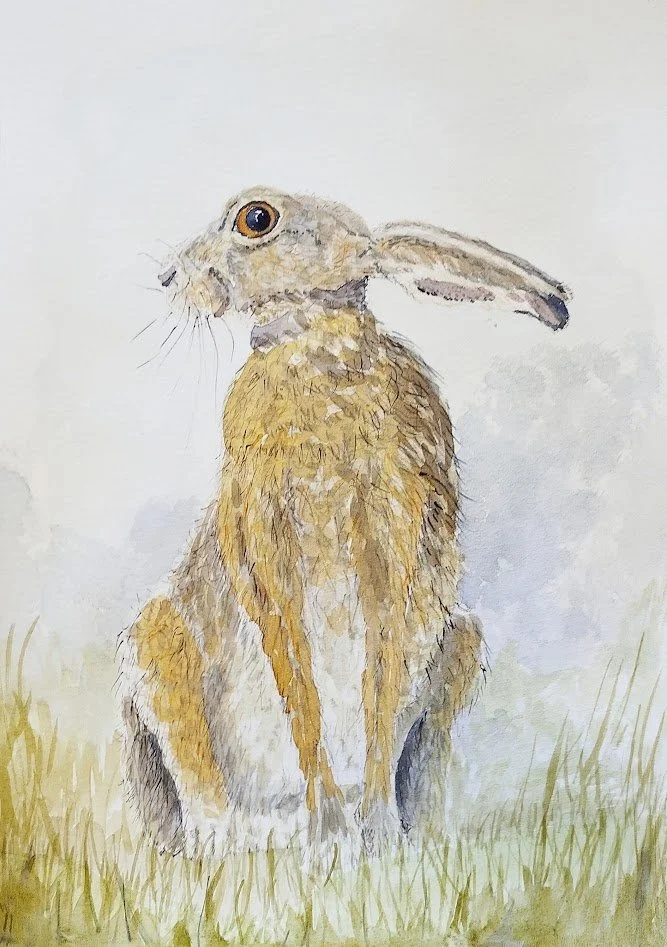 Large Hare.jpg