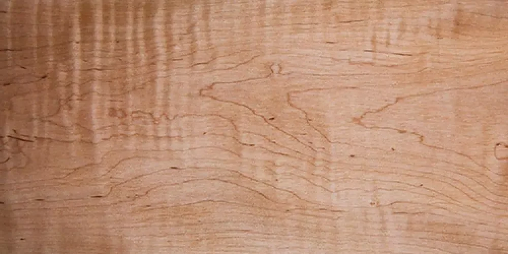 Curly Maple