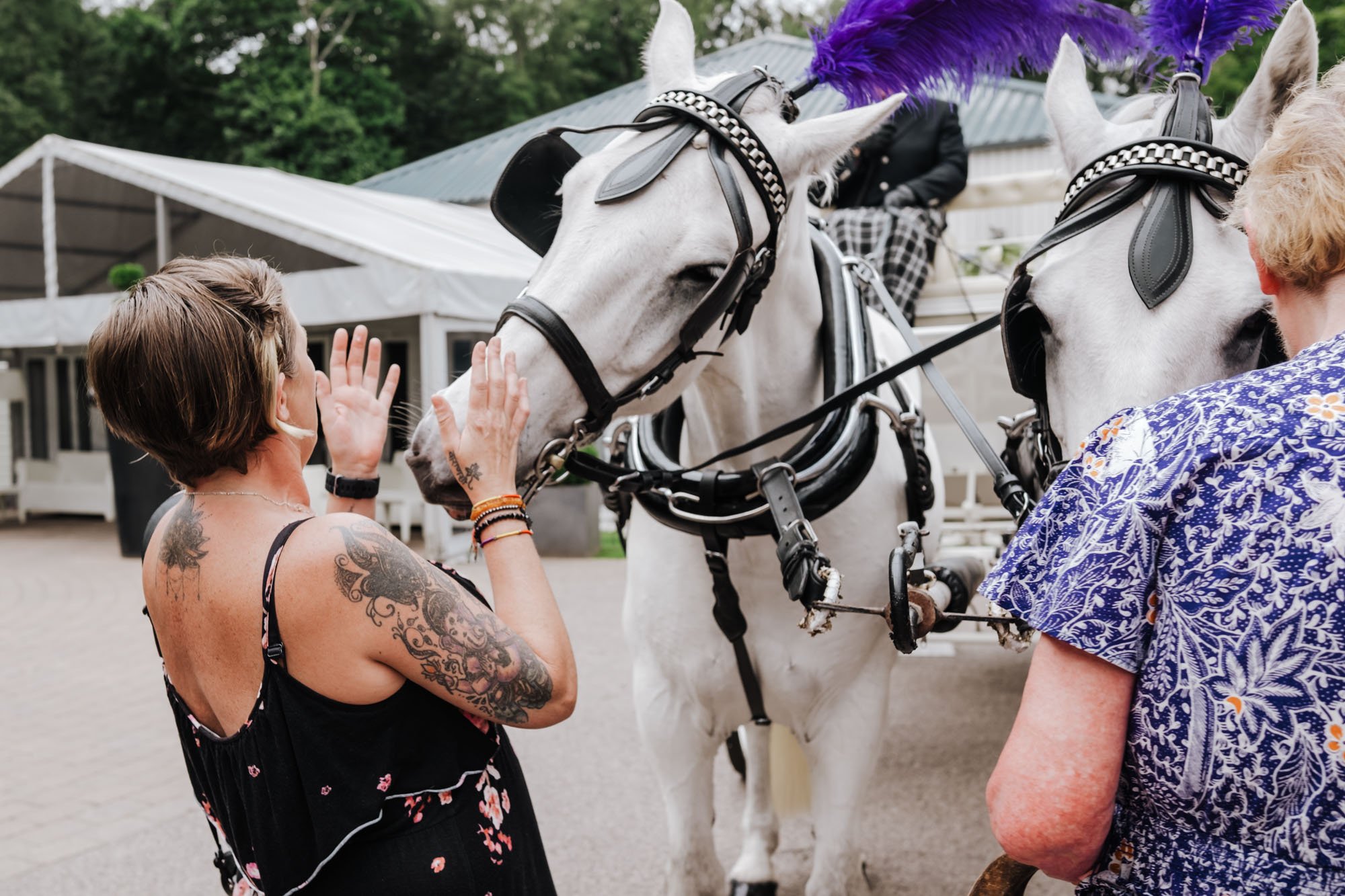 Two women, one with tattoos, interacting with two white horses adorned with harnesses and decorative plumes, in an outdoor setting near a building with a tent.