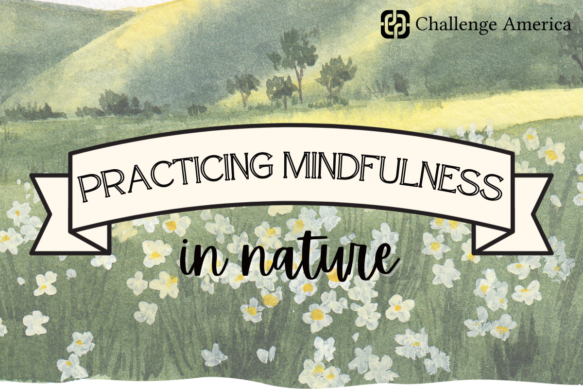 Mindfulness In Nature