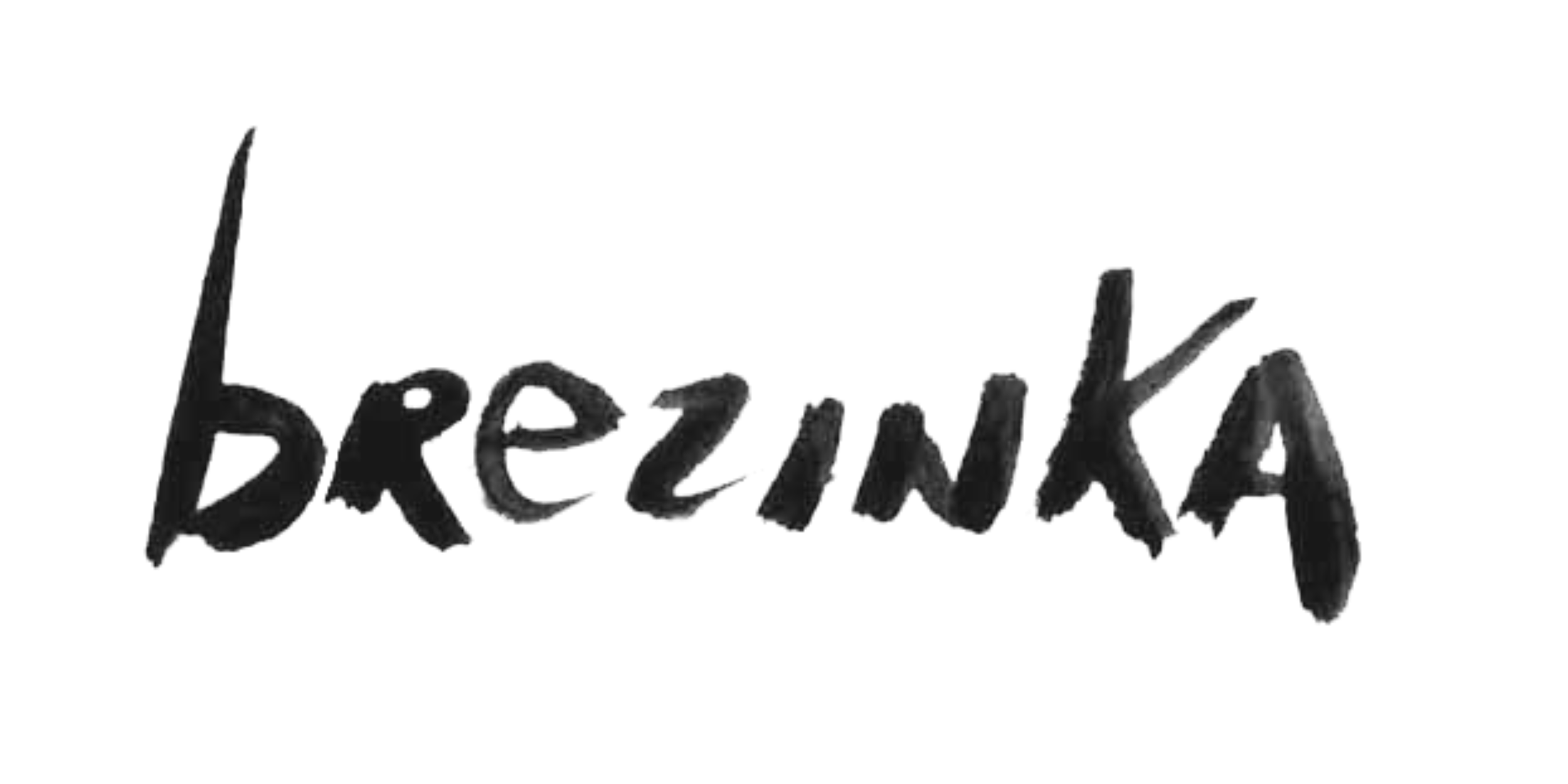 Wayne Brezinka.png