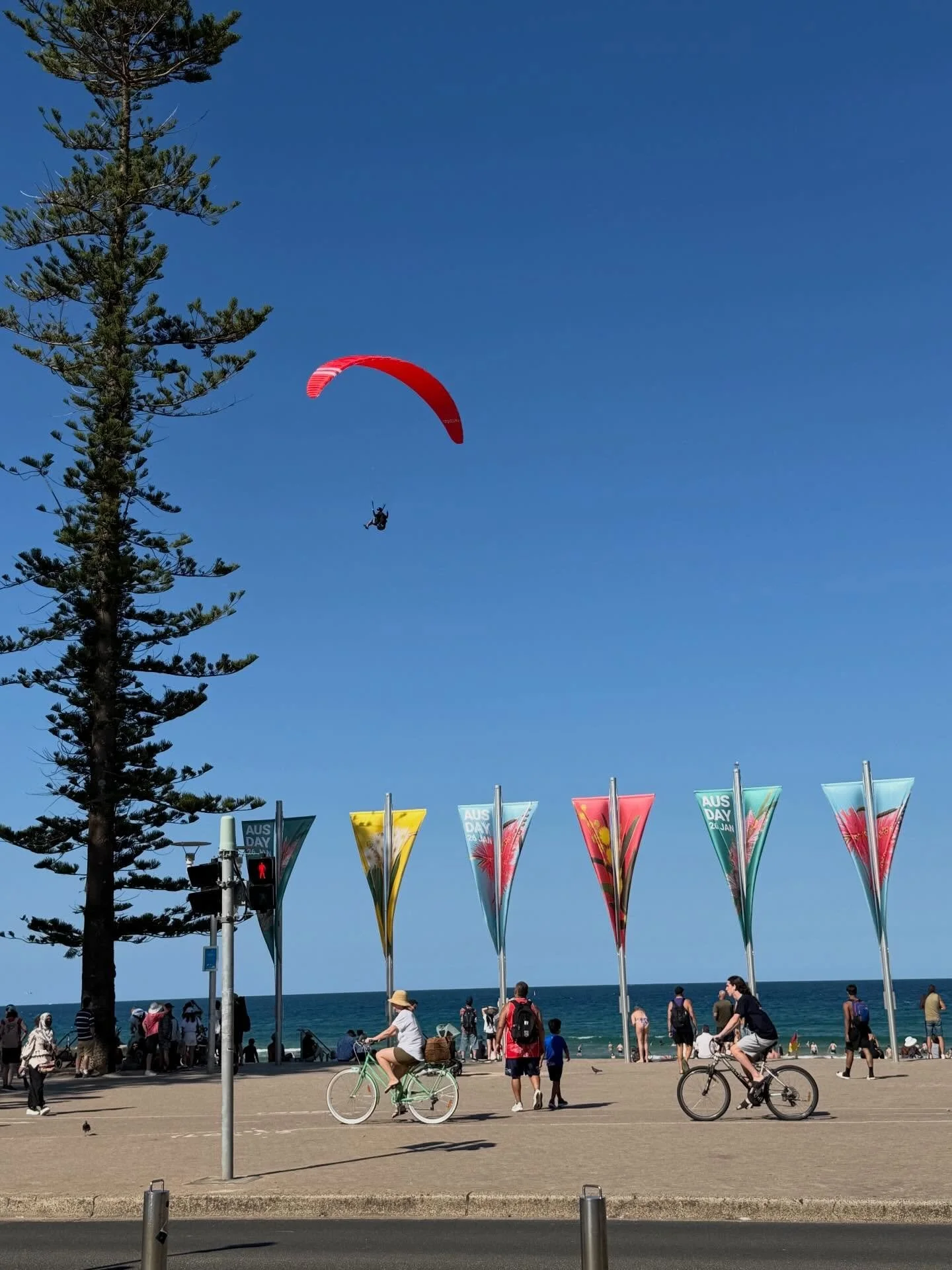 There is always something happening in Manly. Loved seeing these two &lsquo;fly&rsquo; into Manly.