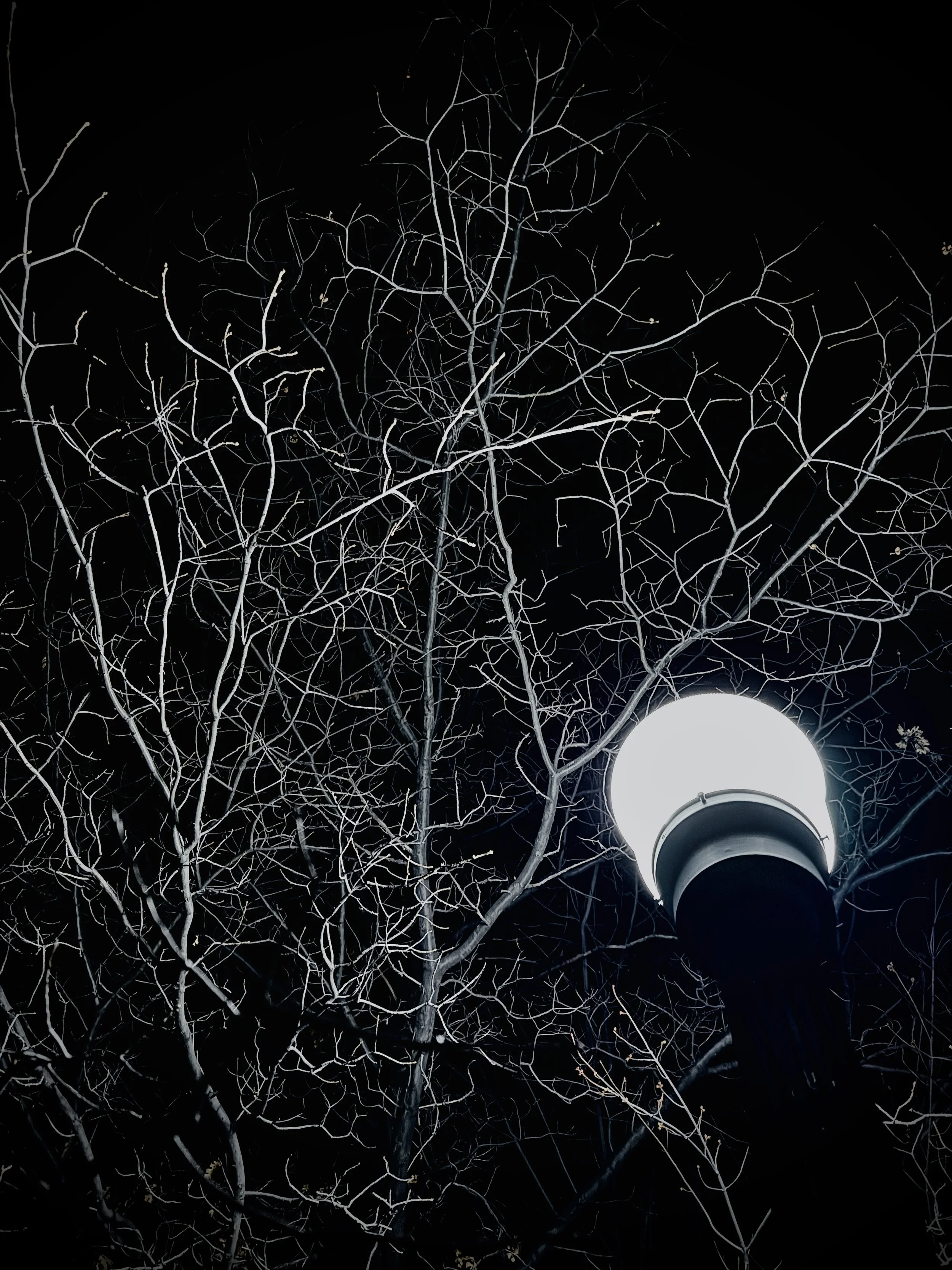 Set on 2.5 private acres, the night sky is truly something to behold from the courtyards and decks.