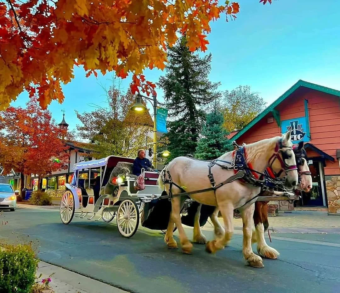 A Timeless Big Bear Experience: Discover the Magic of Horse-Drawn Carriage Rides