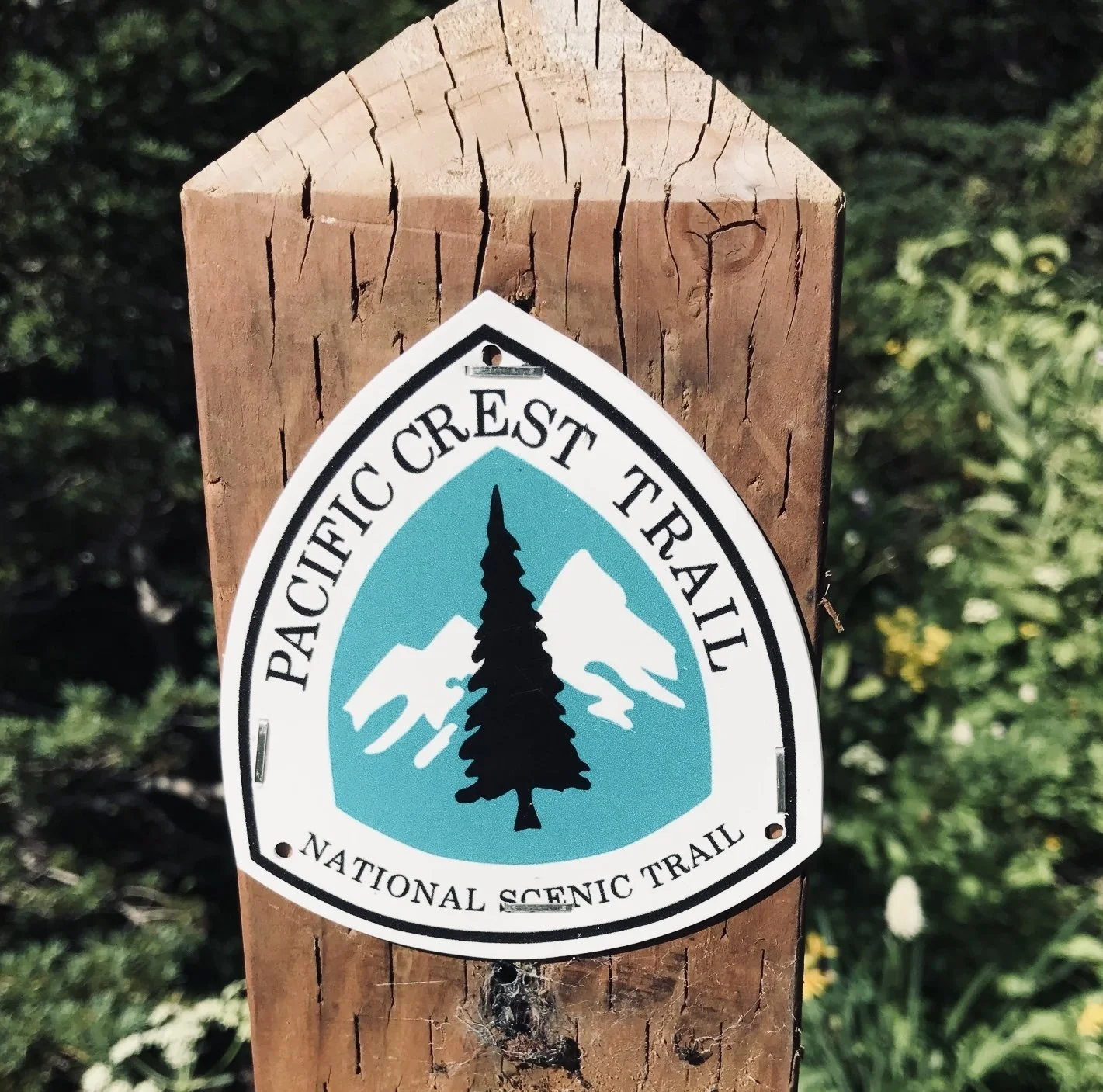 Filthy, Tired, and Loving It: PCT Hikers Take Over Big Bear Lake