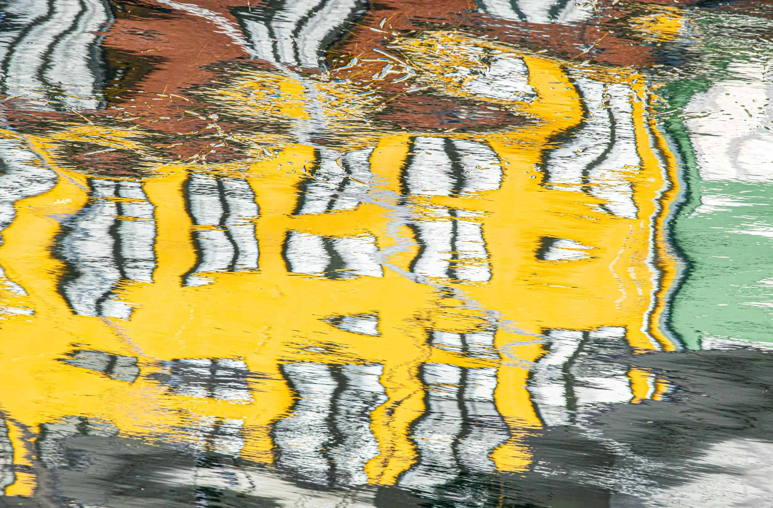 reflection of yellow and green  houses  water  in copenhagen catherinelewisphotography.jpg