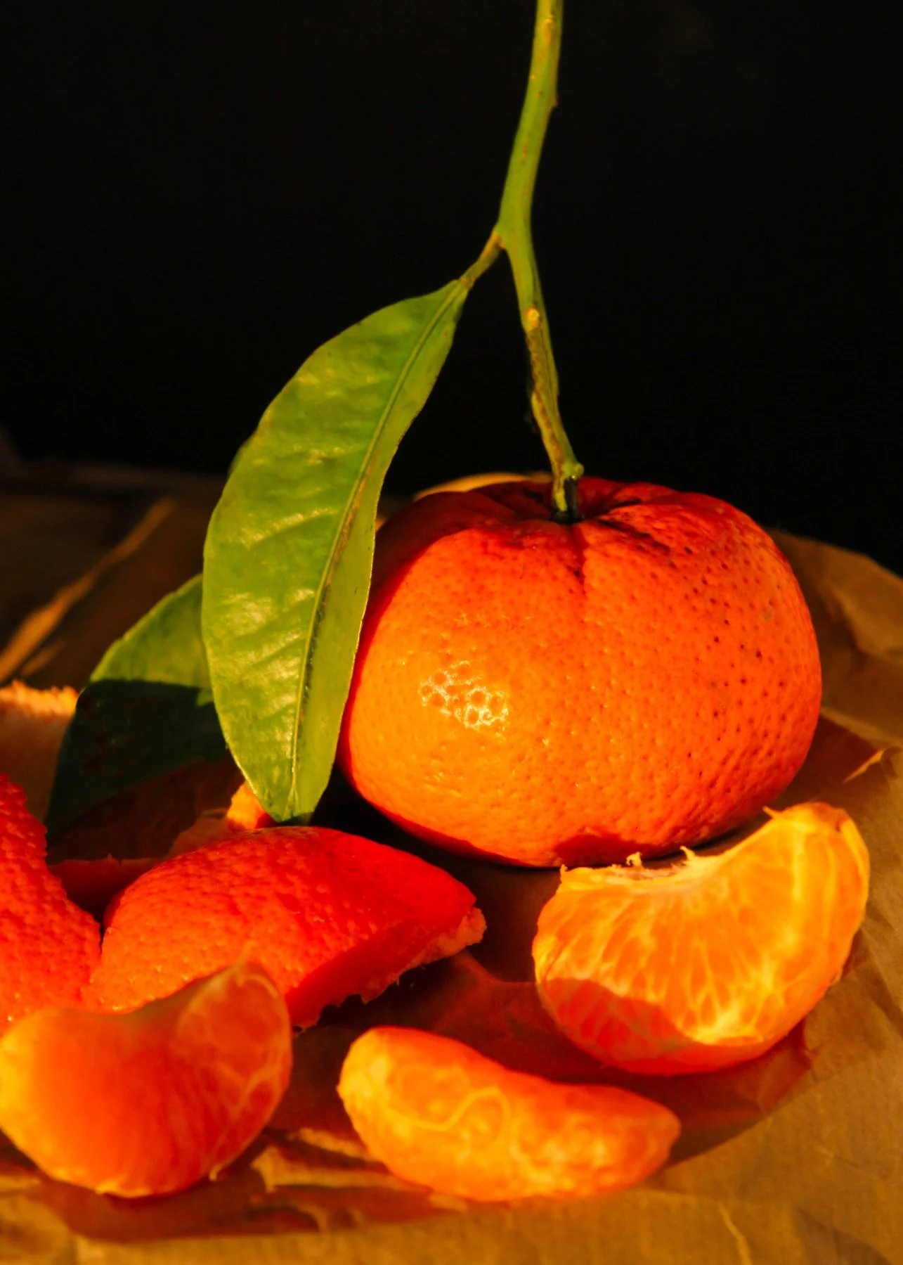 a tangerine in evening sunlight catherinelewisphotography.jpg