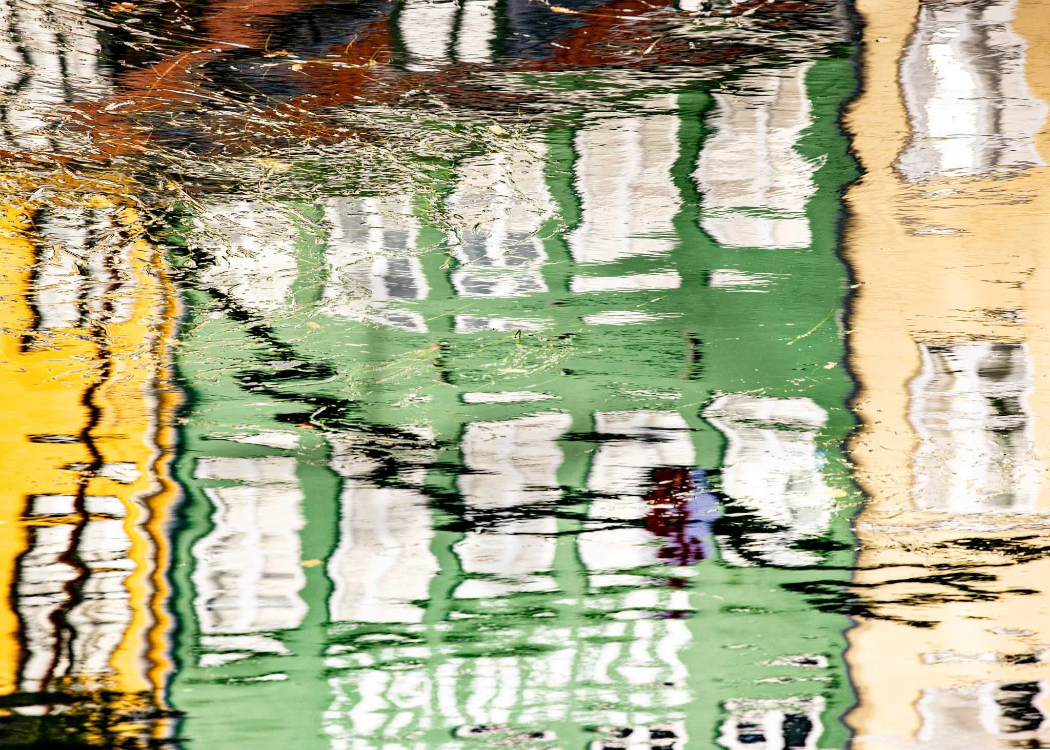 reflection ofa green house with shutters in water  catherinelewisphotography.jpg