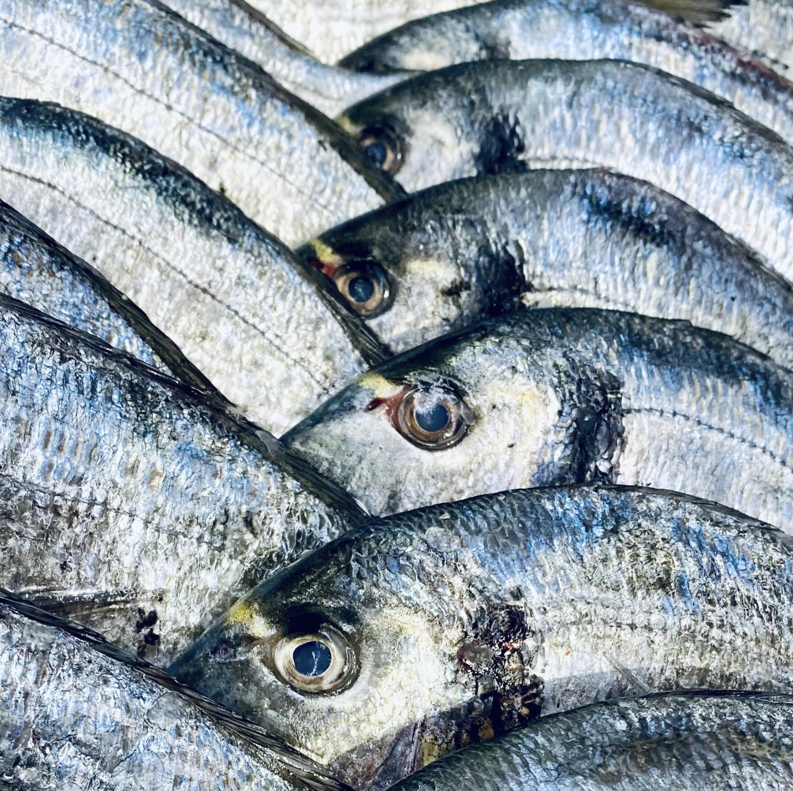 Screenshot 2026-01-09 at 11.44.52.png