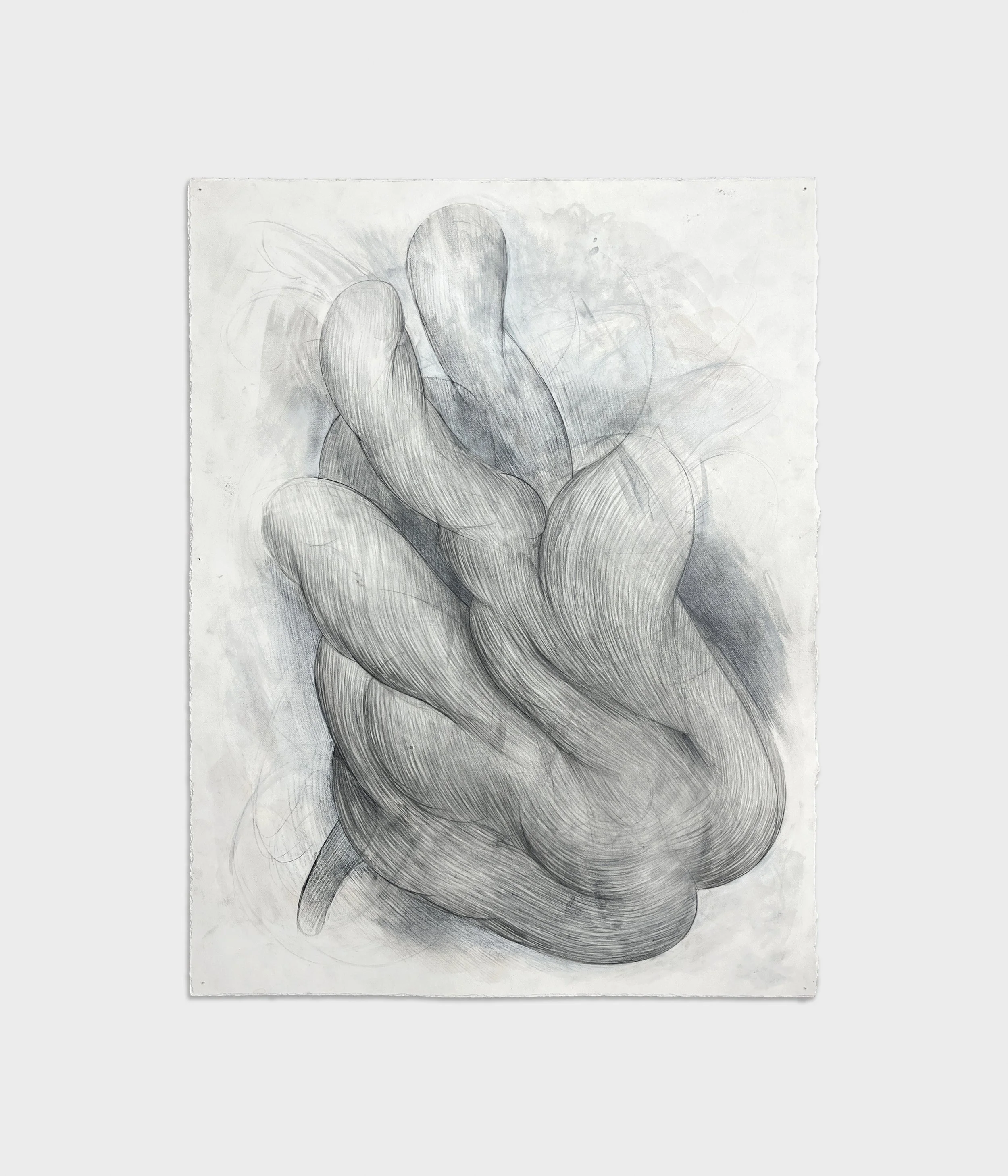  Bouquet,  2024 
Graphite, charcoal + watercolor on paper 
23 ½ x 18 inches