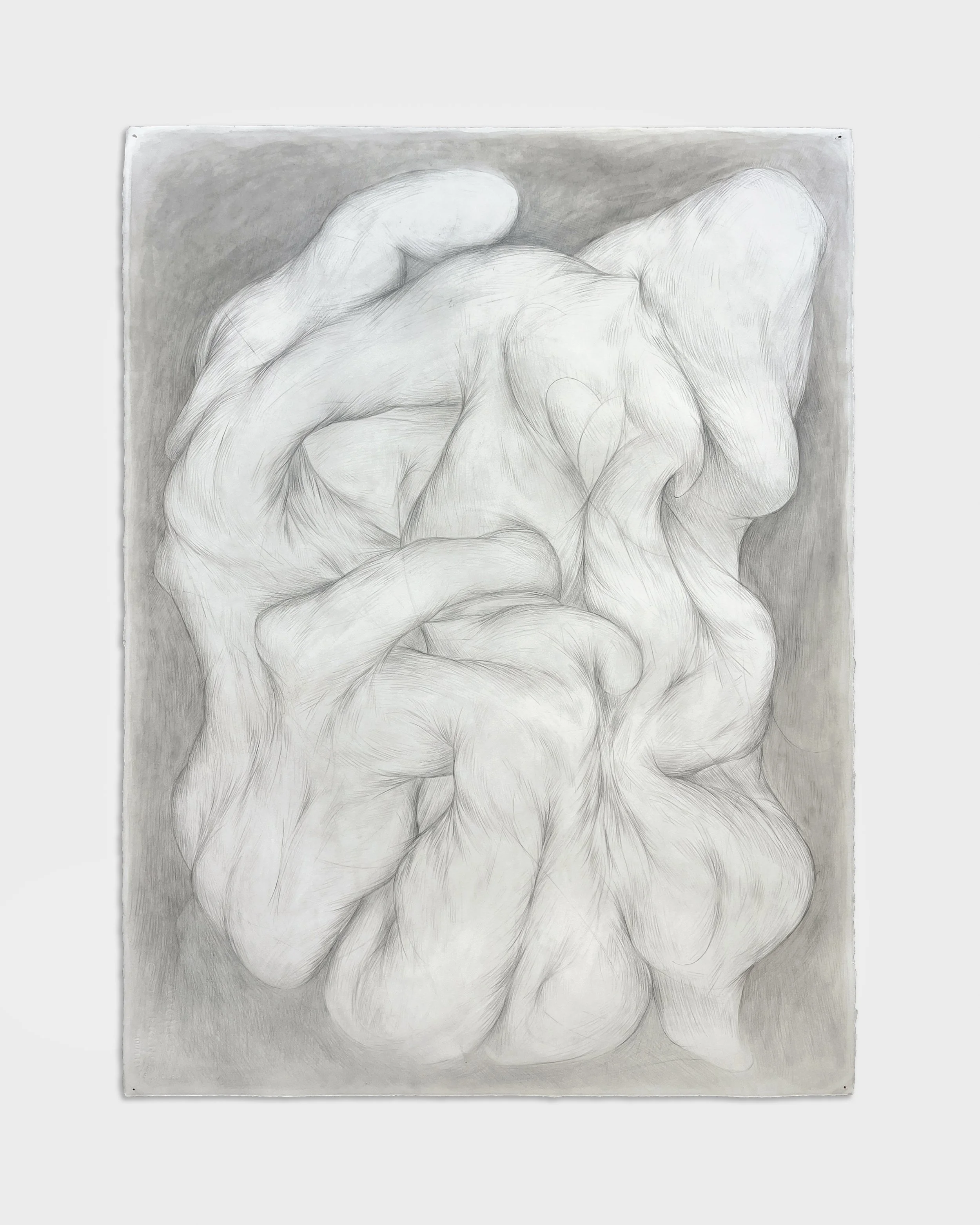  Glyph,  2025 
Graphite, charcoal + watercolor on paper 
30 x 22 ½ inches