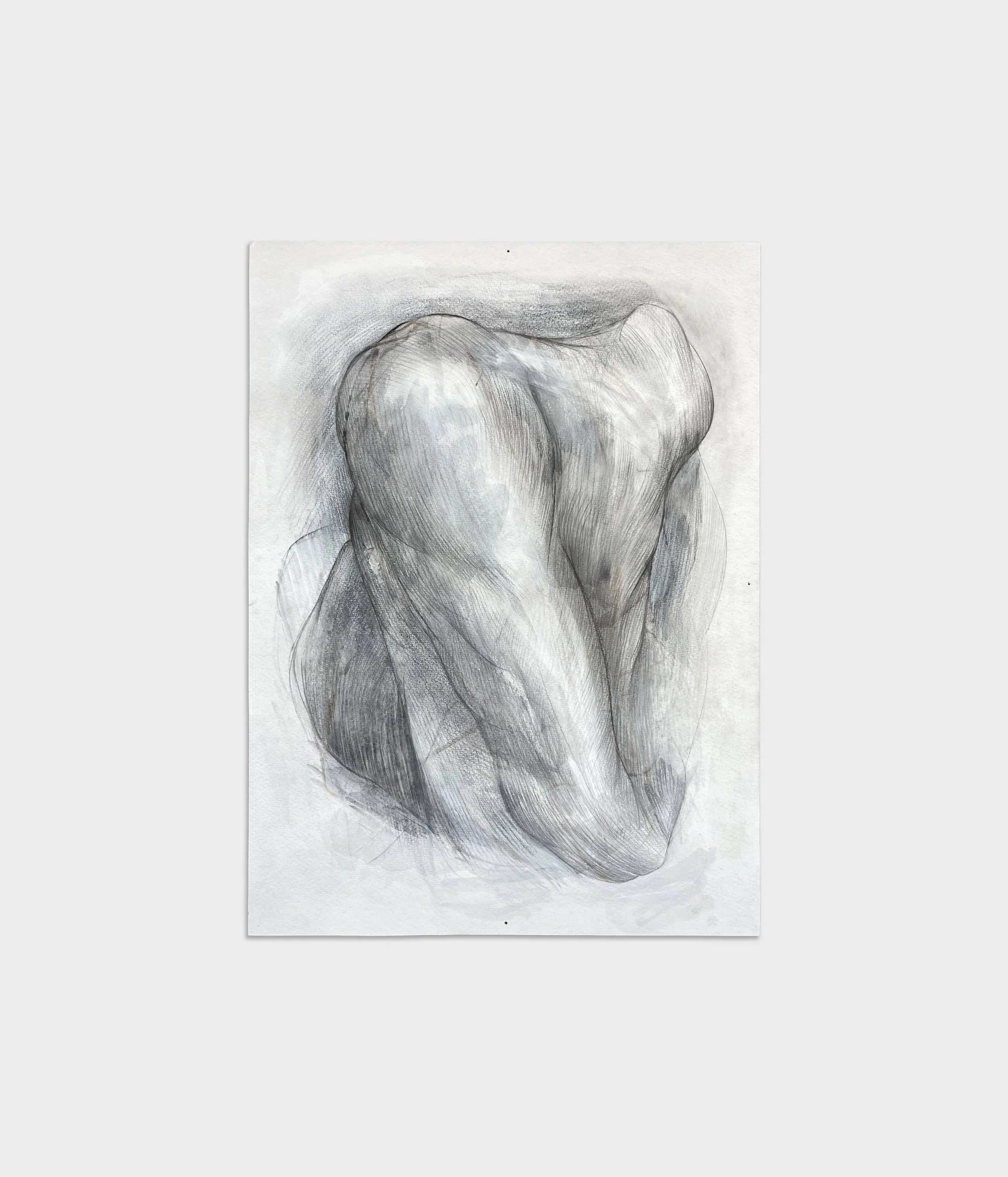  Torso I,  2025 
Graphite, charcoal + watercolor on paper 
11 x 15 inches 