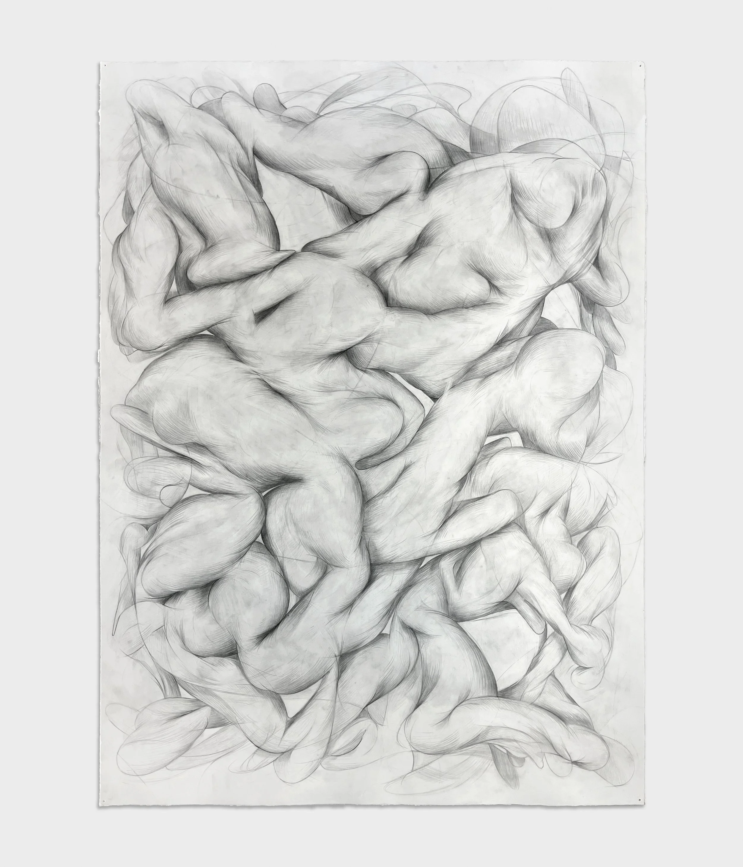  Rodeo,  2025 
Graphite on paper 
55 ¼ x 40 ½ inches