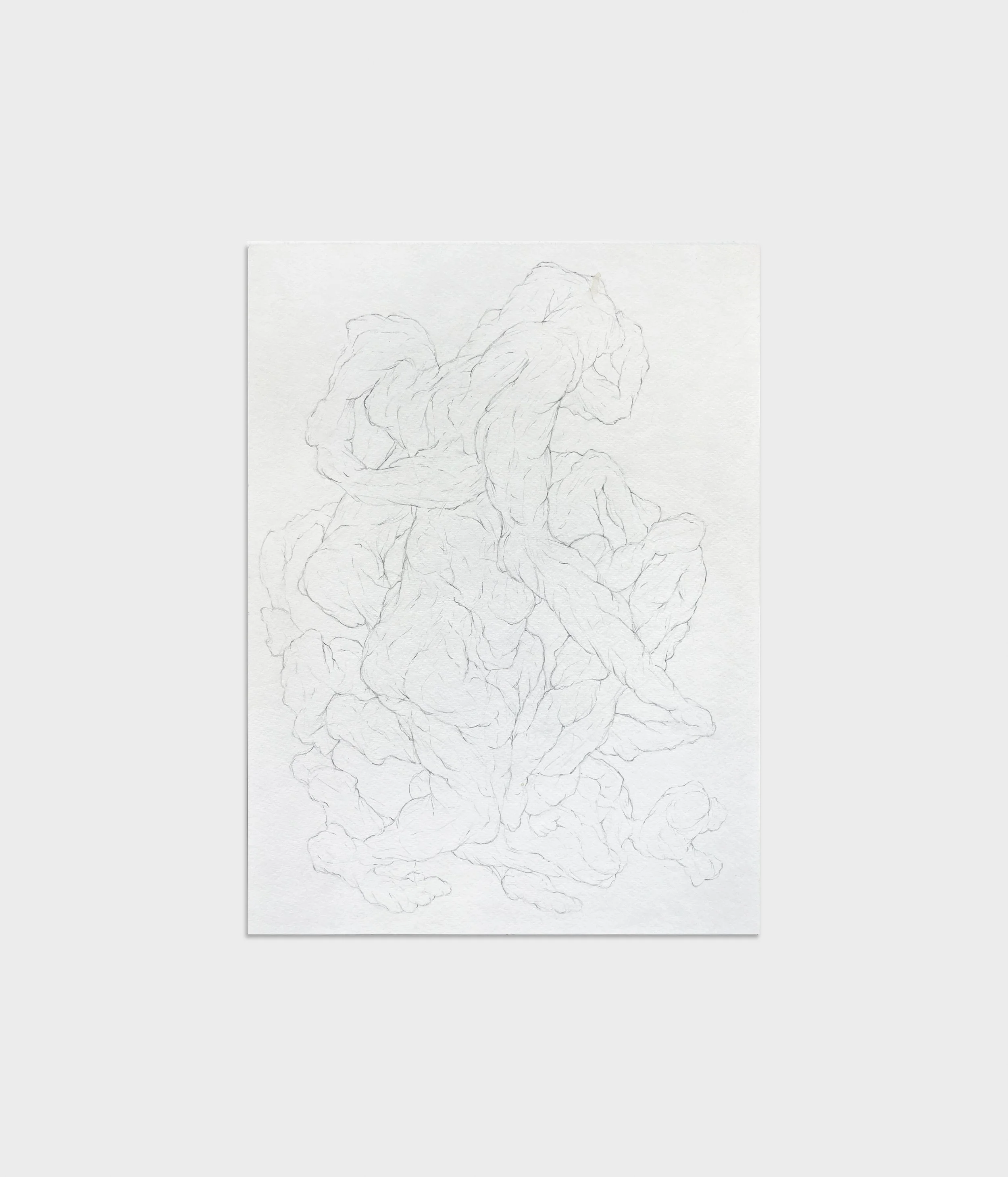  Study (Dance),  2024 
Graphite on paper 
11 x 15 inches 