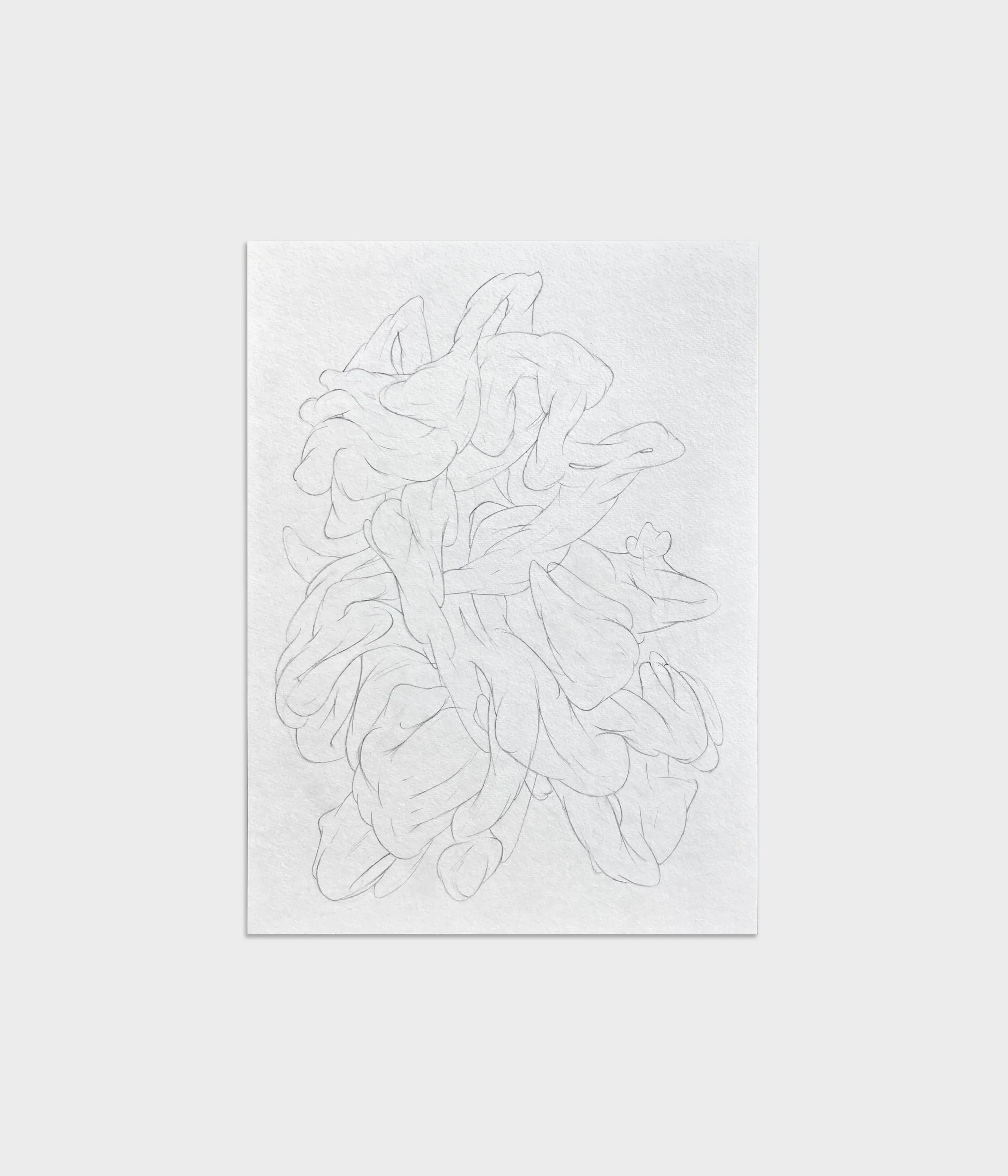  Study (Bow),  2025 
Graphite on paper 
11 x 15 inches 