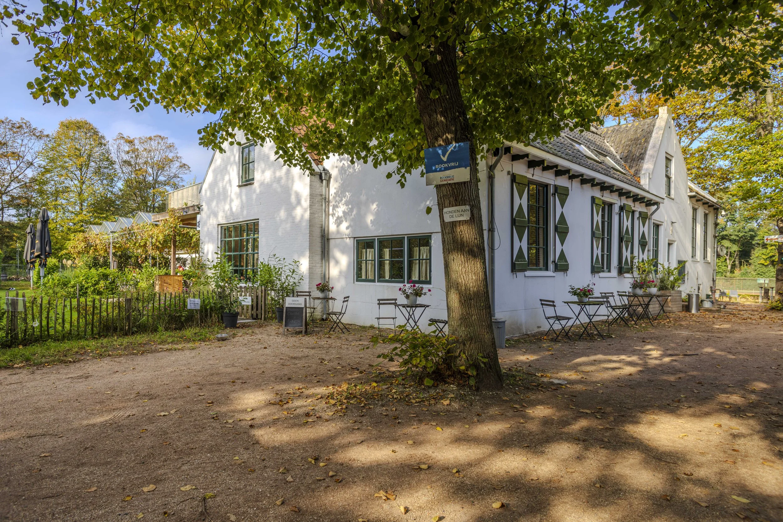 White building with green shutters and outdoor seating under a large tree on a sunny day, surrounded by trees with fall foliage.