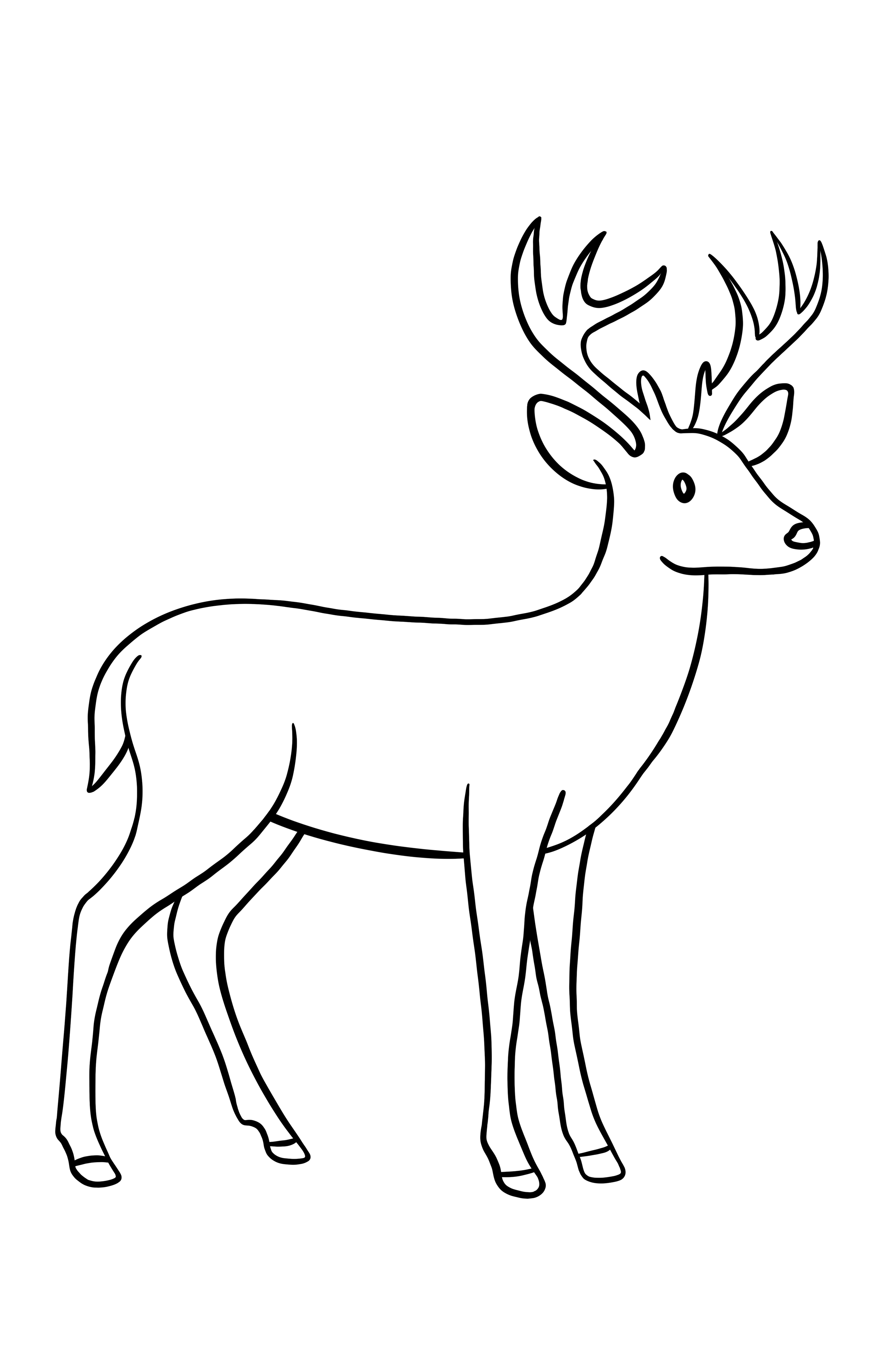 Outline drawing of a reindeer with antlers.