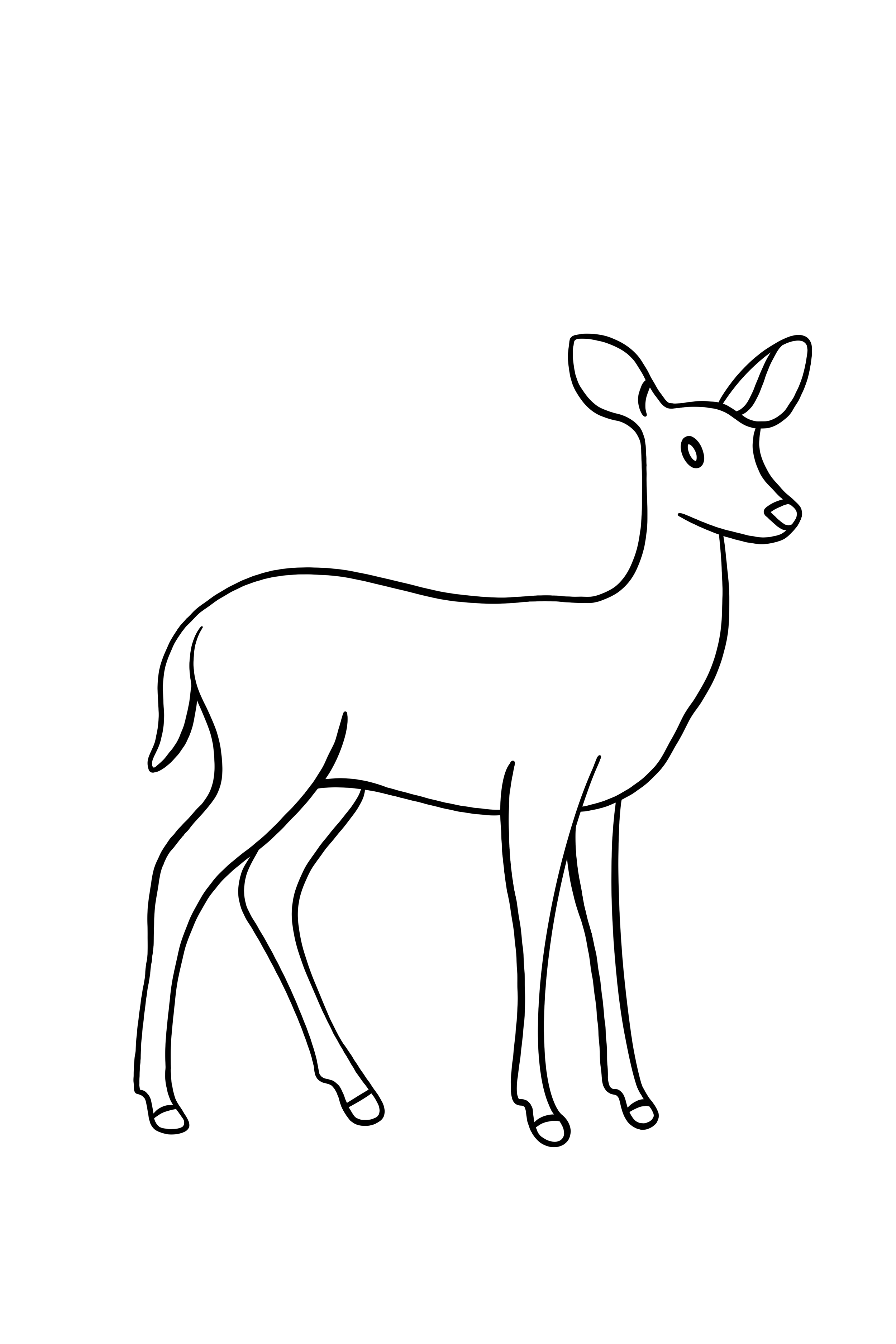 Outline drawing of a deer with large ears, slender legs, and a small tail.