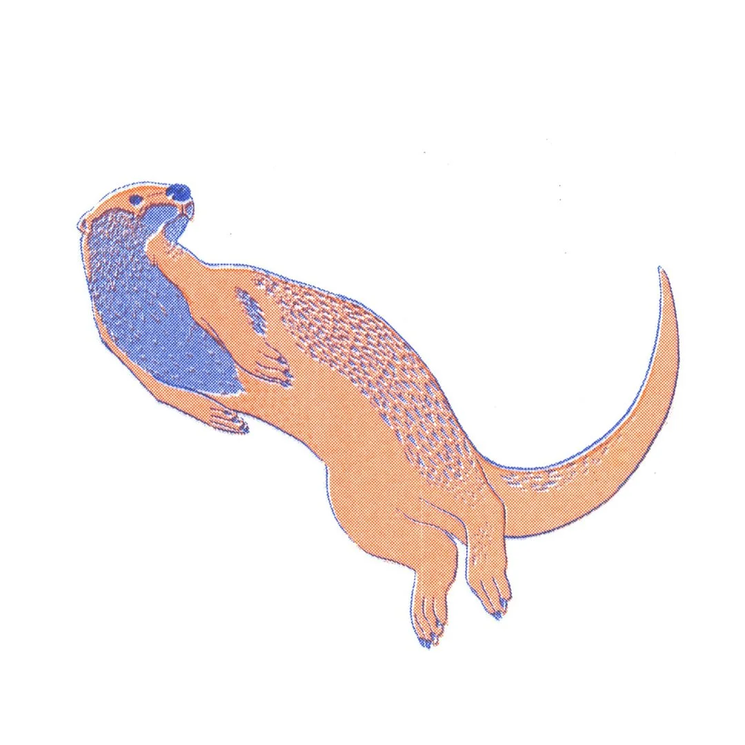 otter2.jpg