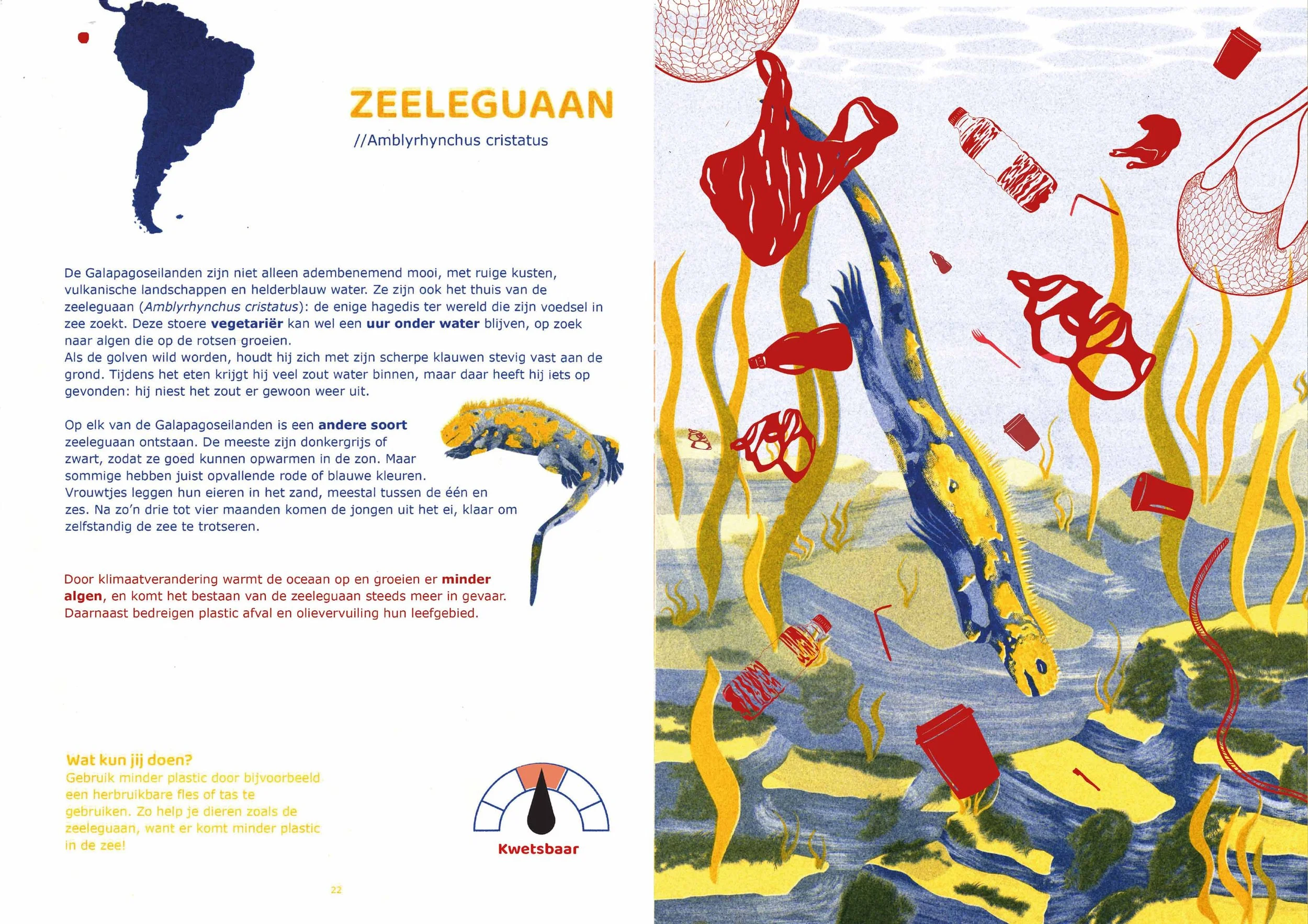 Boek leguaan pagina  1.jpg