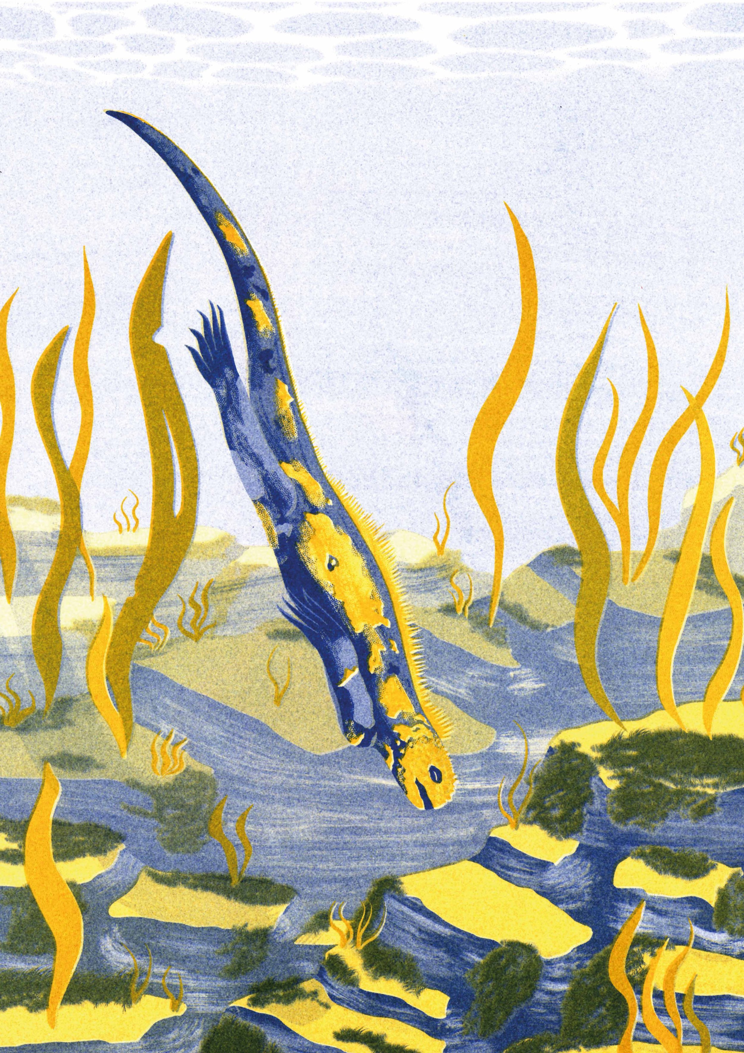 zeeleguaaan riso _.jpg