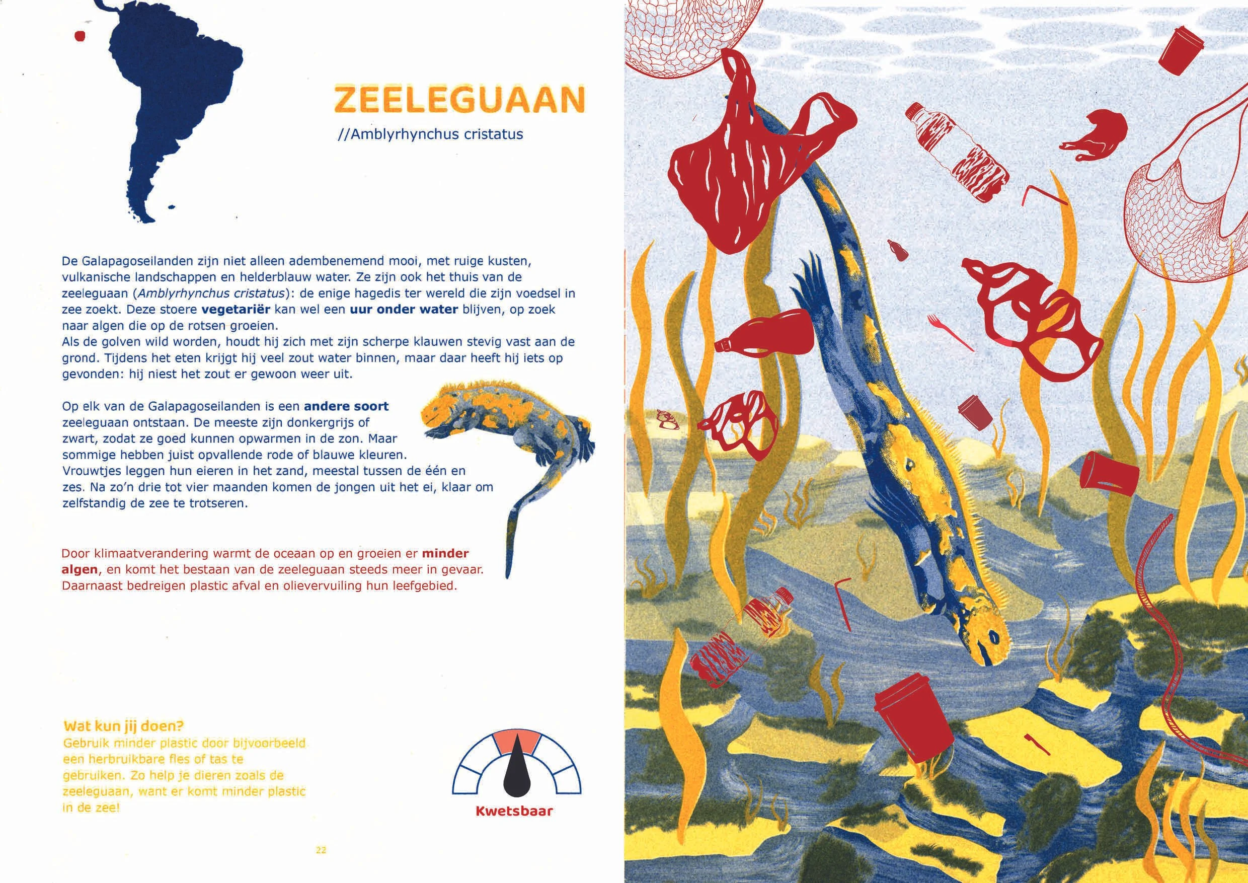 boek ingescant 13.jpg