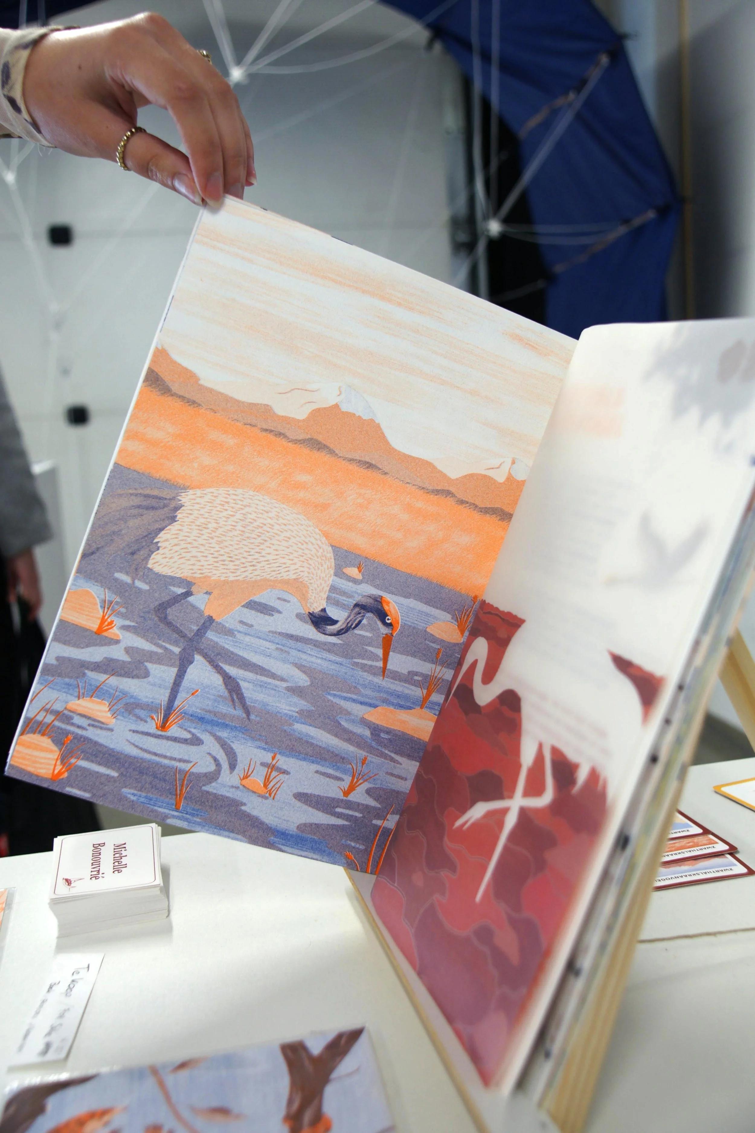 0cc57554-055f-4c02-bfca-06c8dc281bd3 2.jpg