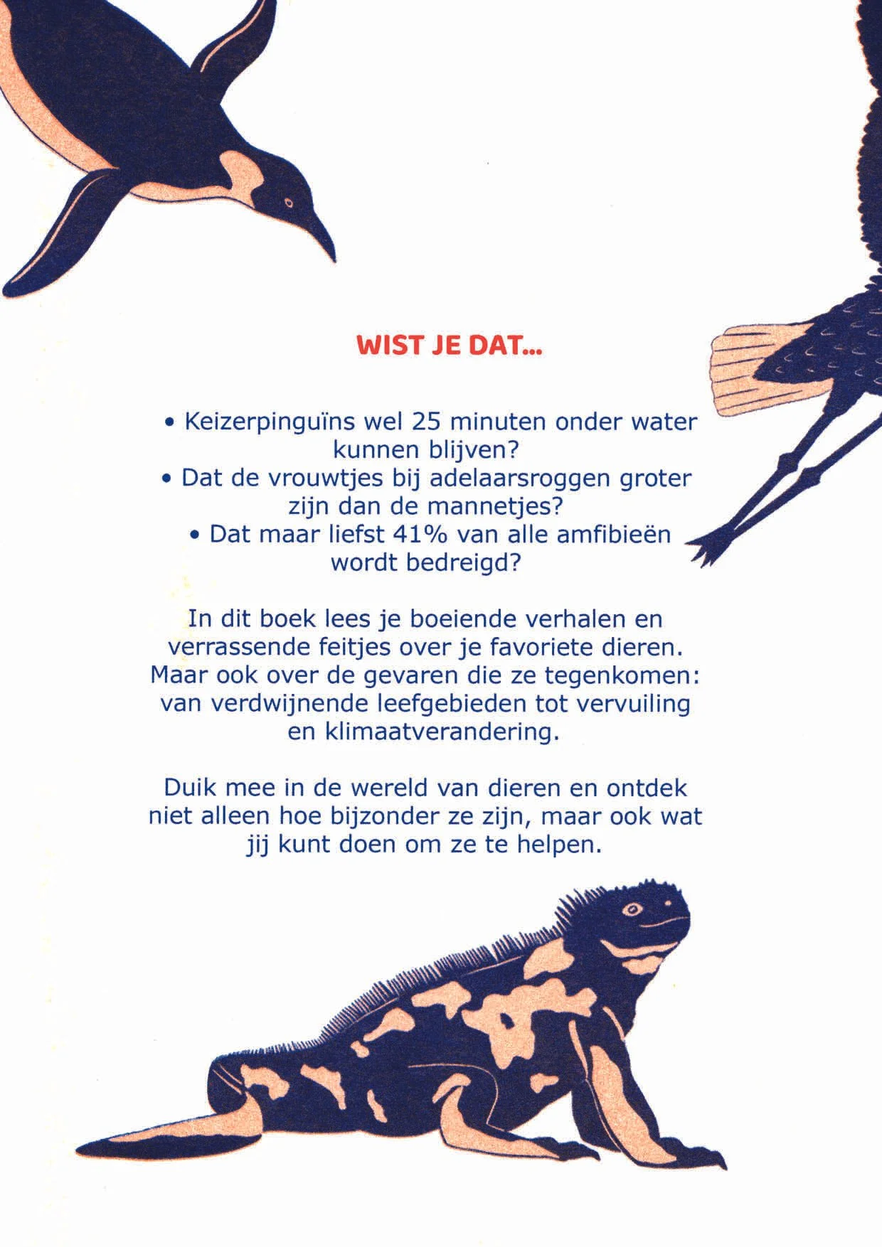 boek ingescant 16.jpg