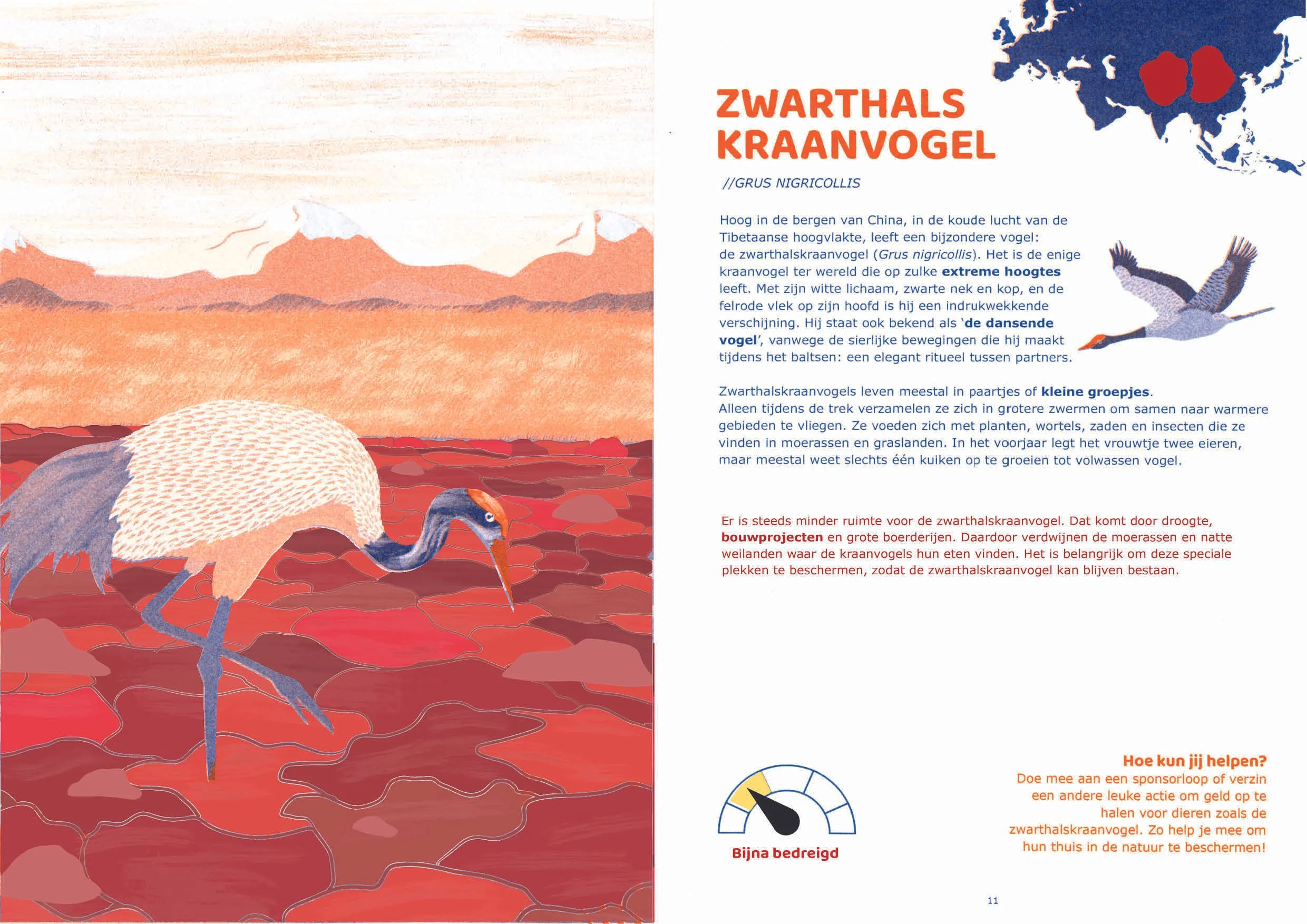 boek ingescant 7.jpg