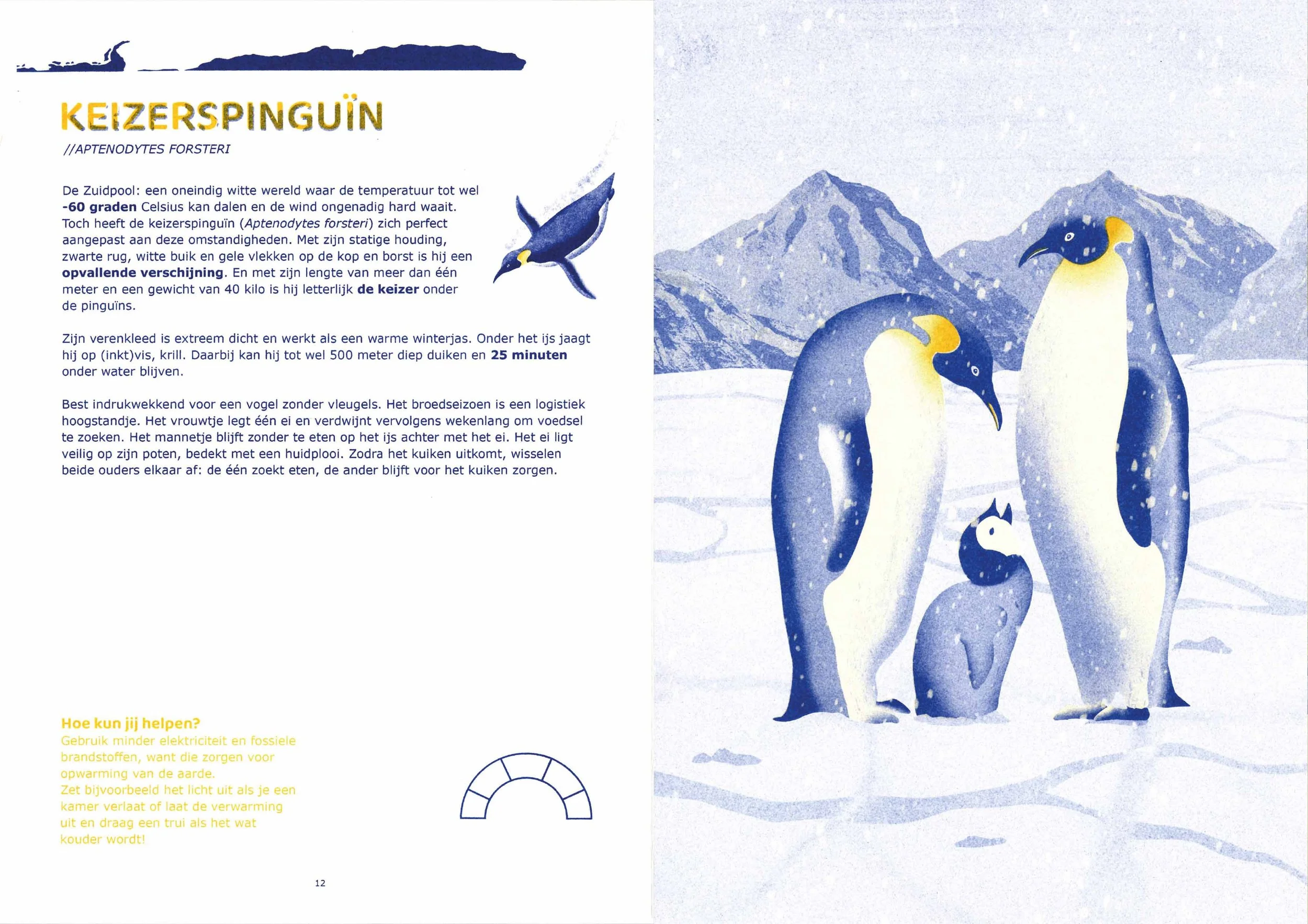 Boek pinguin pagina  1.jpg