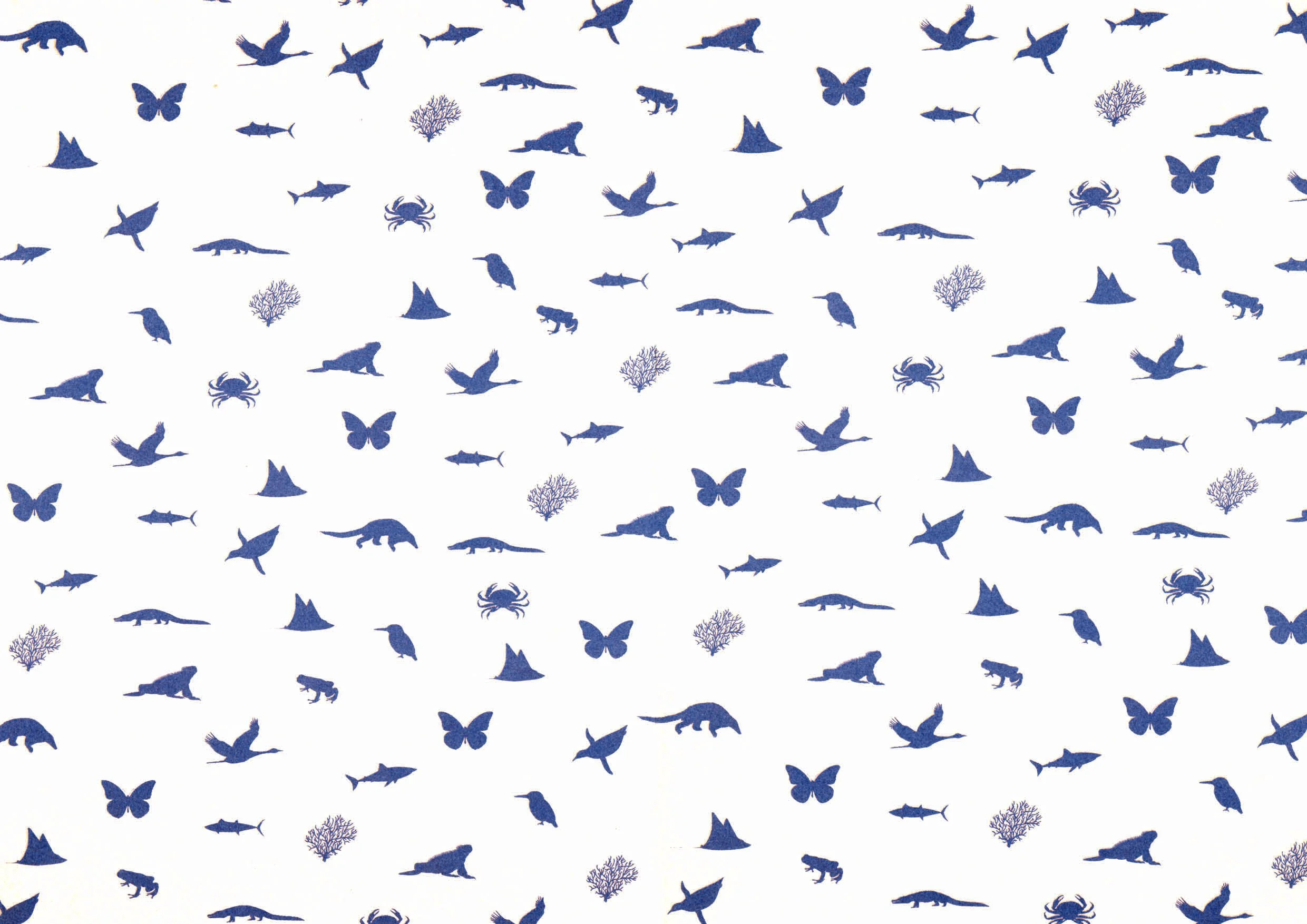 boek ingescant 2.jpg