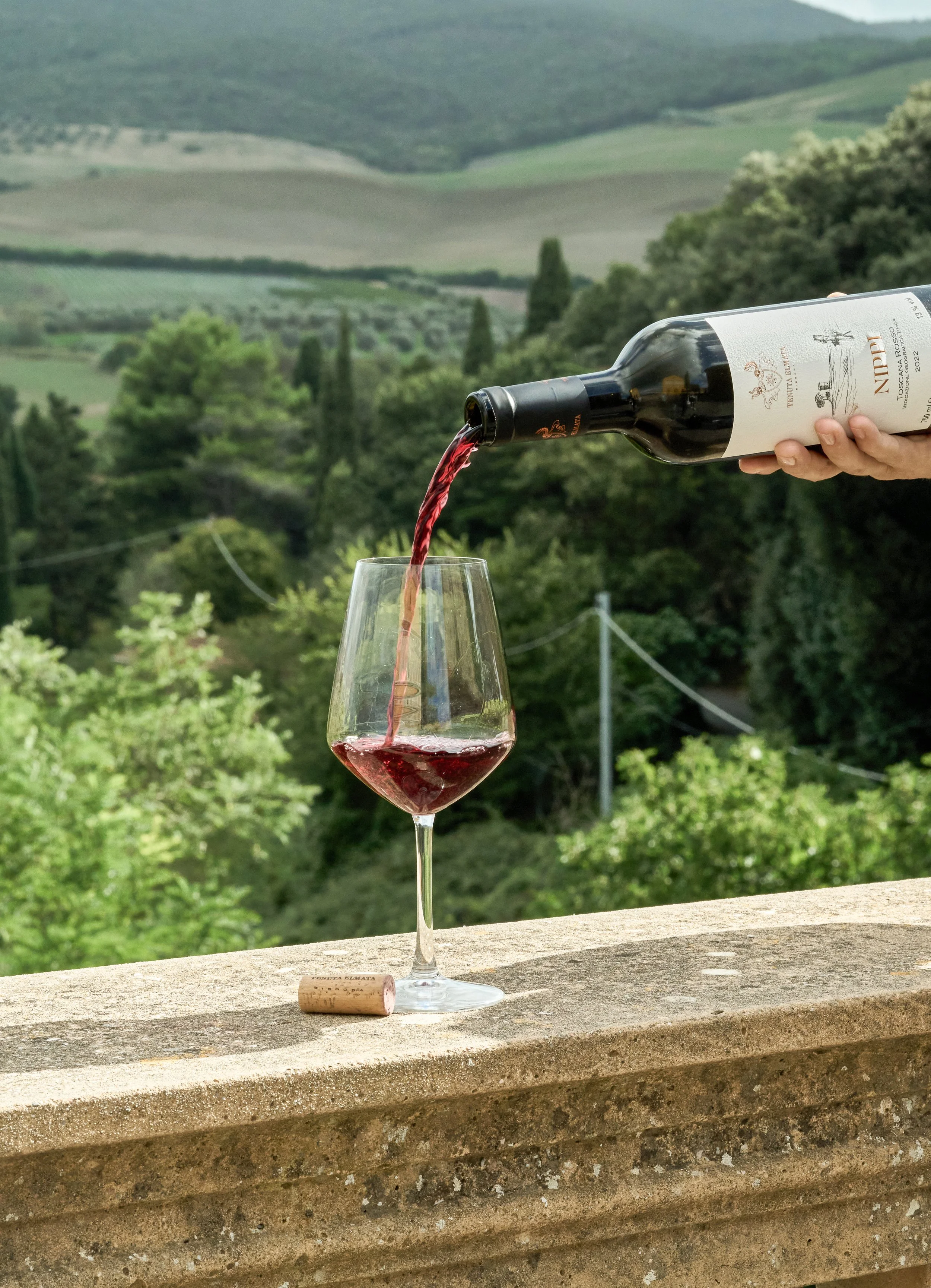 Vineyard photography for wine marketing campaigns.jpg