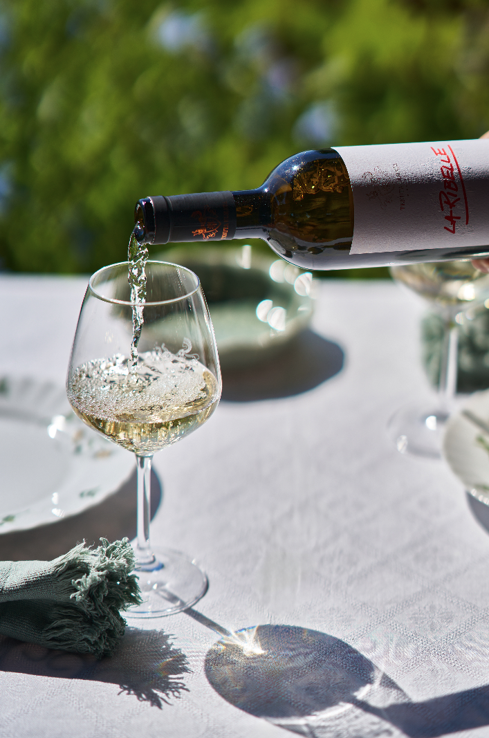 tenuta-elmata-winery-content-creation.png