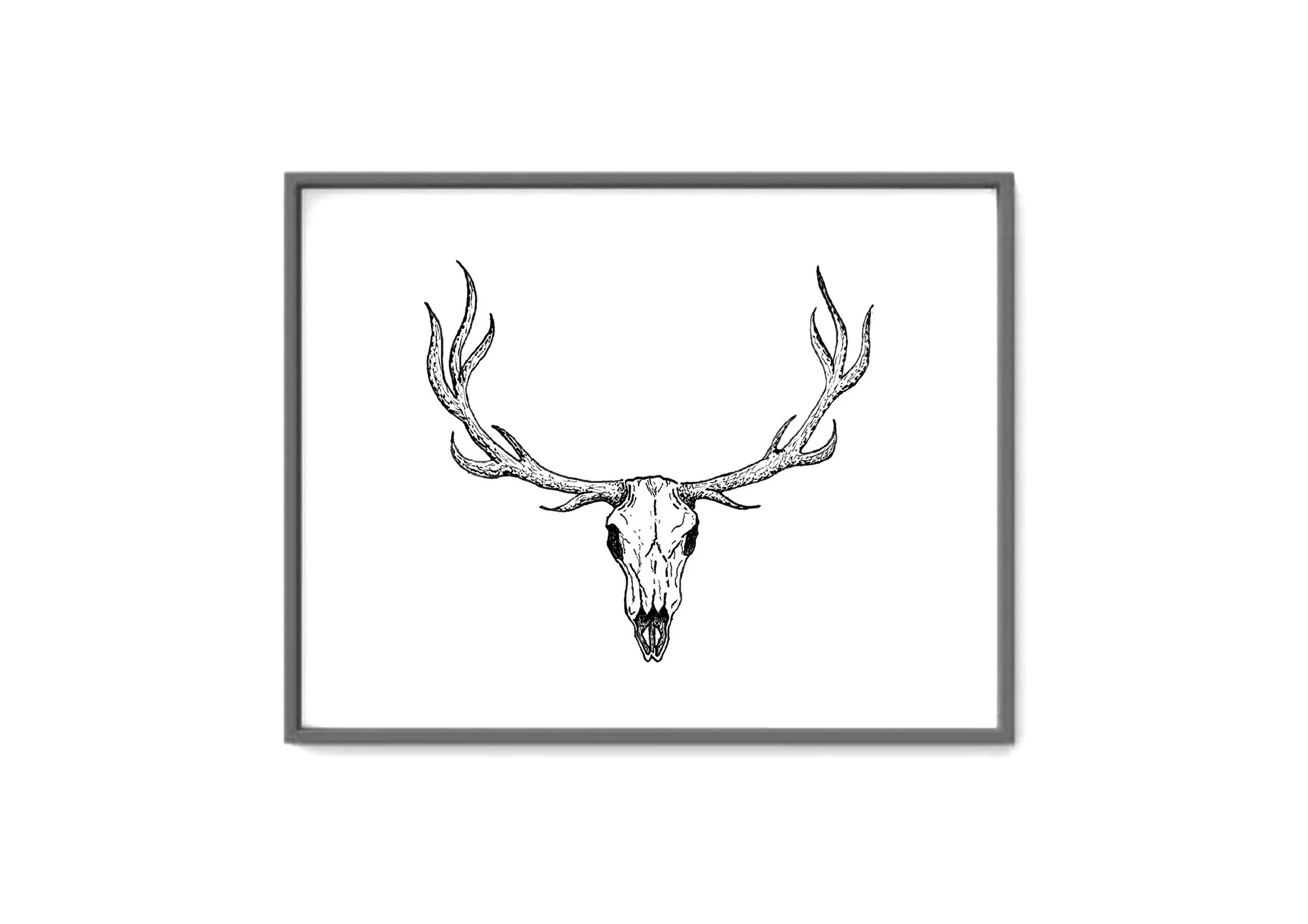 "Deer Skull" - Art Print