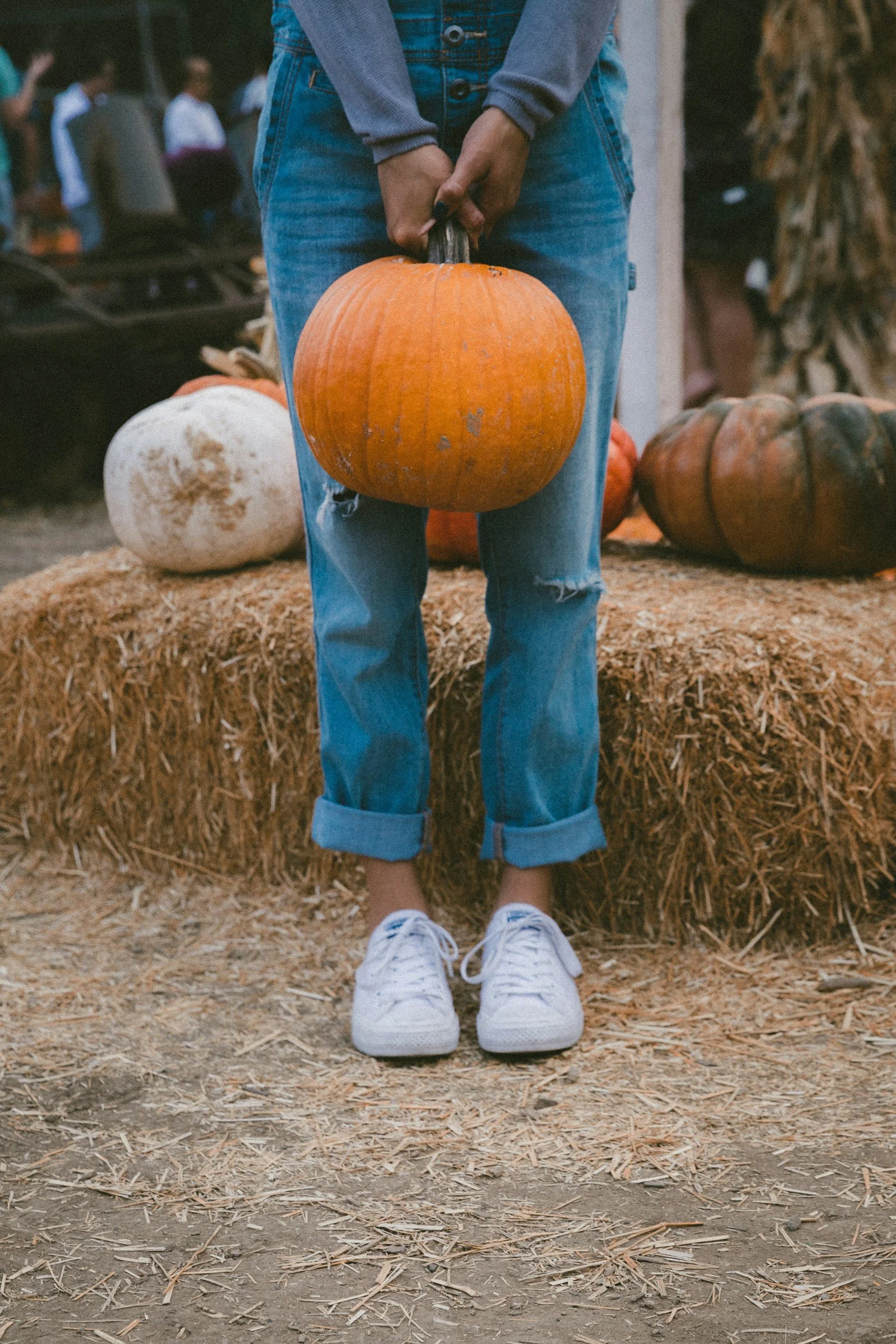 Person holding a pumpkin at a pumpkin patch, wearing blue jeans, a gray sweater, and white sneakers. The ground is covered with straw, and other pumpkins are visible in the background.