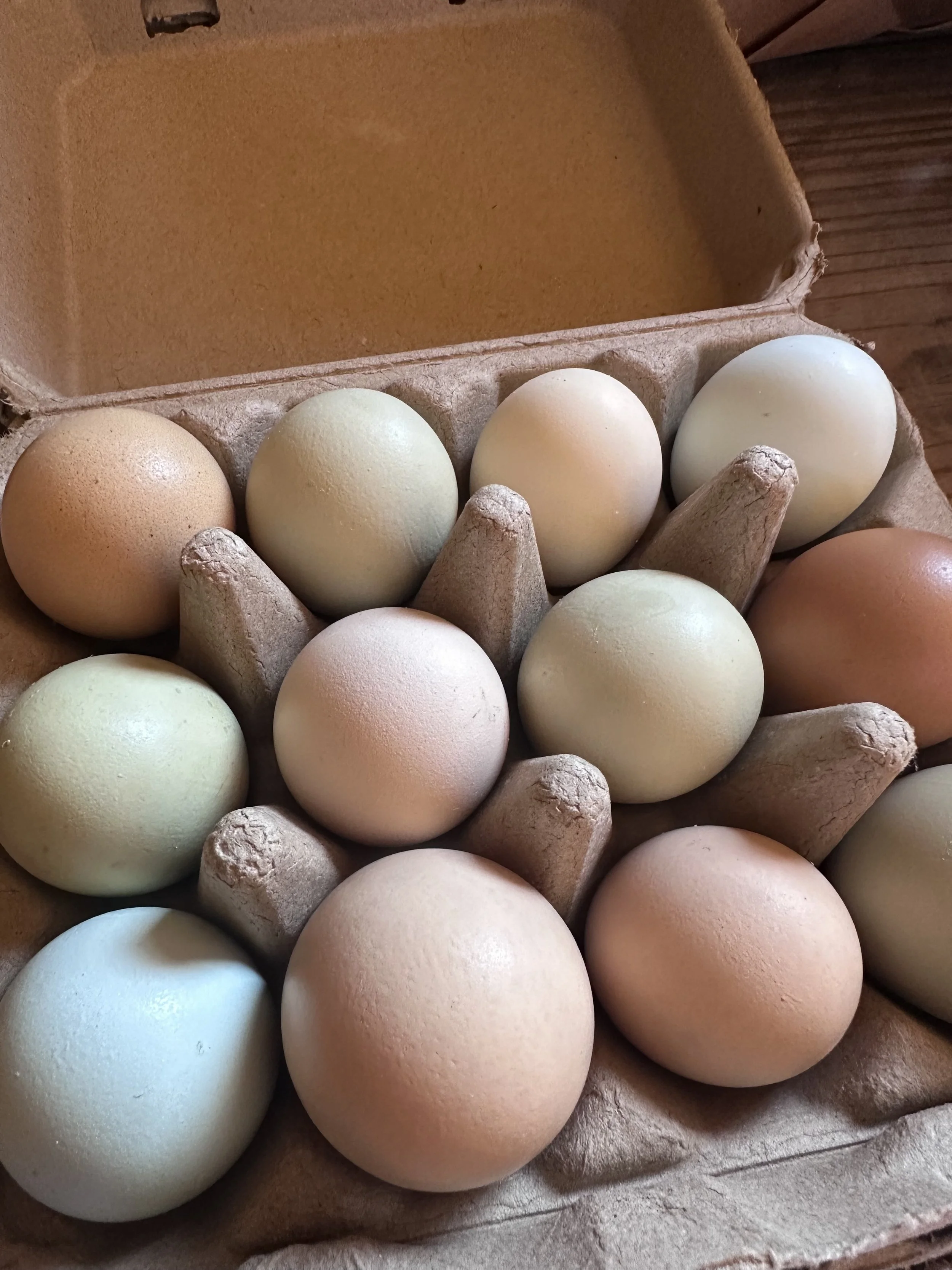 Fresh eggs at Bluebird Farms in Burgaw.jpg