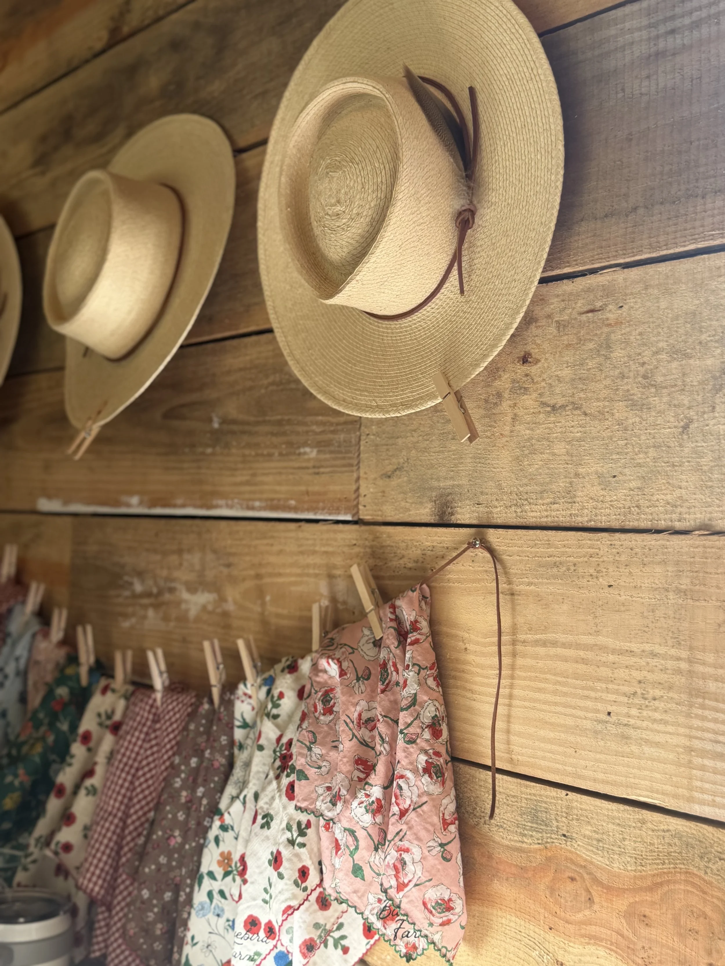 Hats at Bluebird Farm in Burgaw.jpg