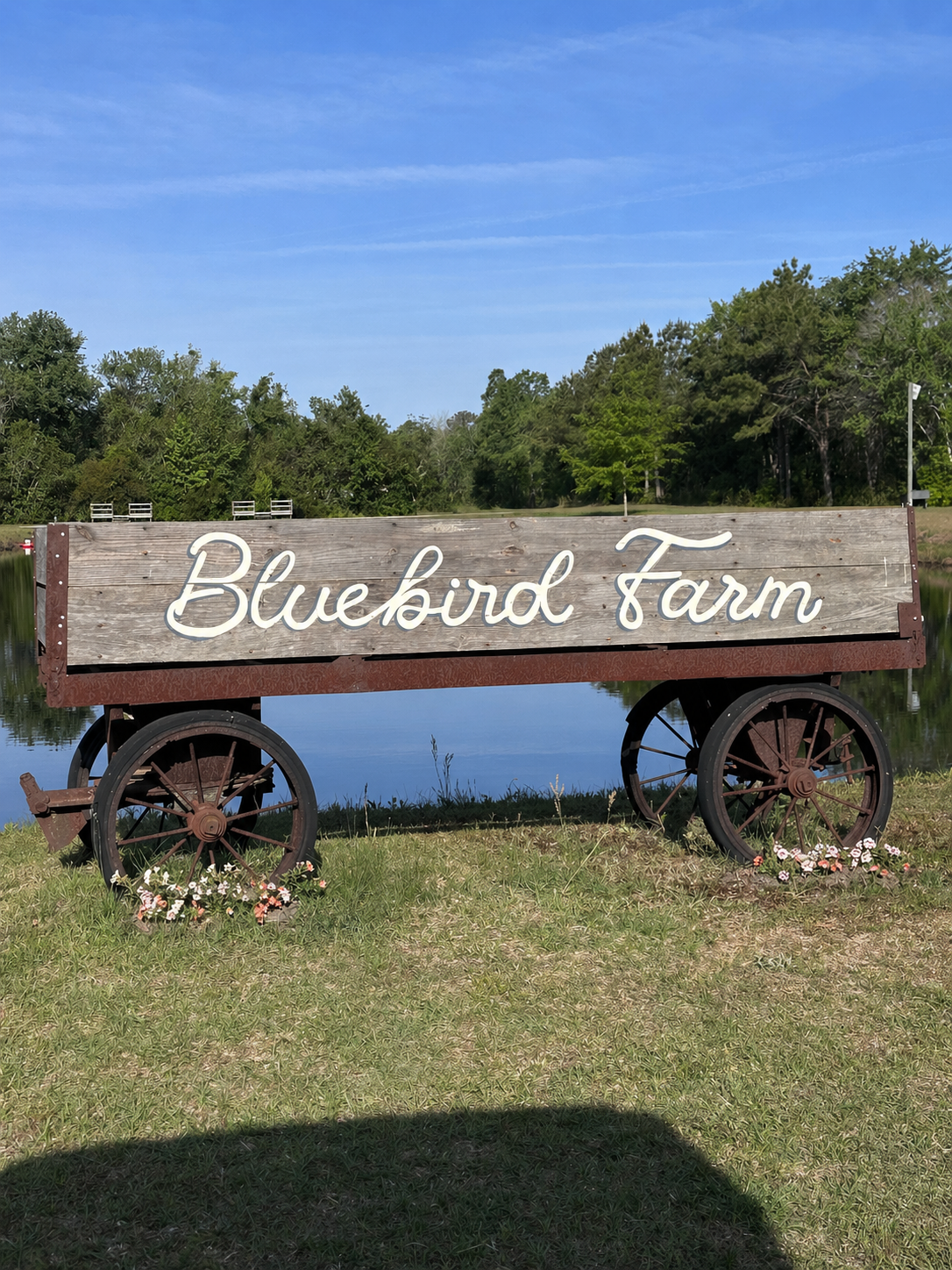 A wooden sign on wheels reads 'Bluebird Farm,' placed on a grassy area near a pond with trees in the background under a blue sky.