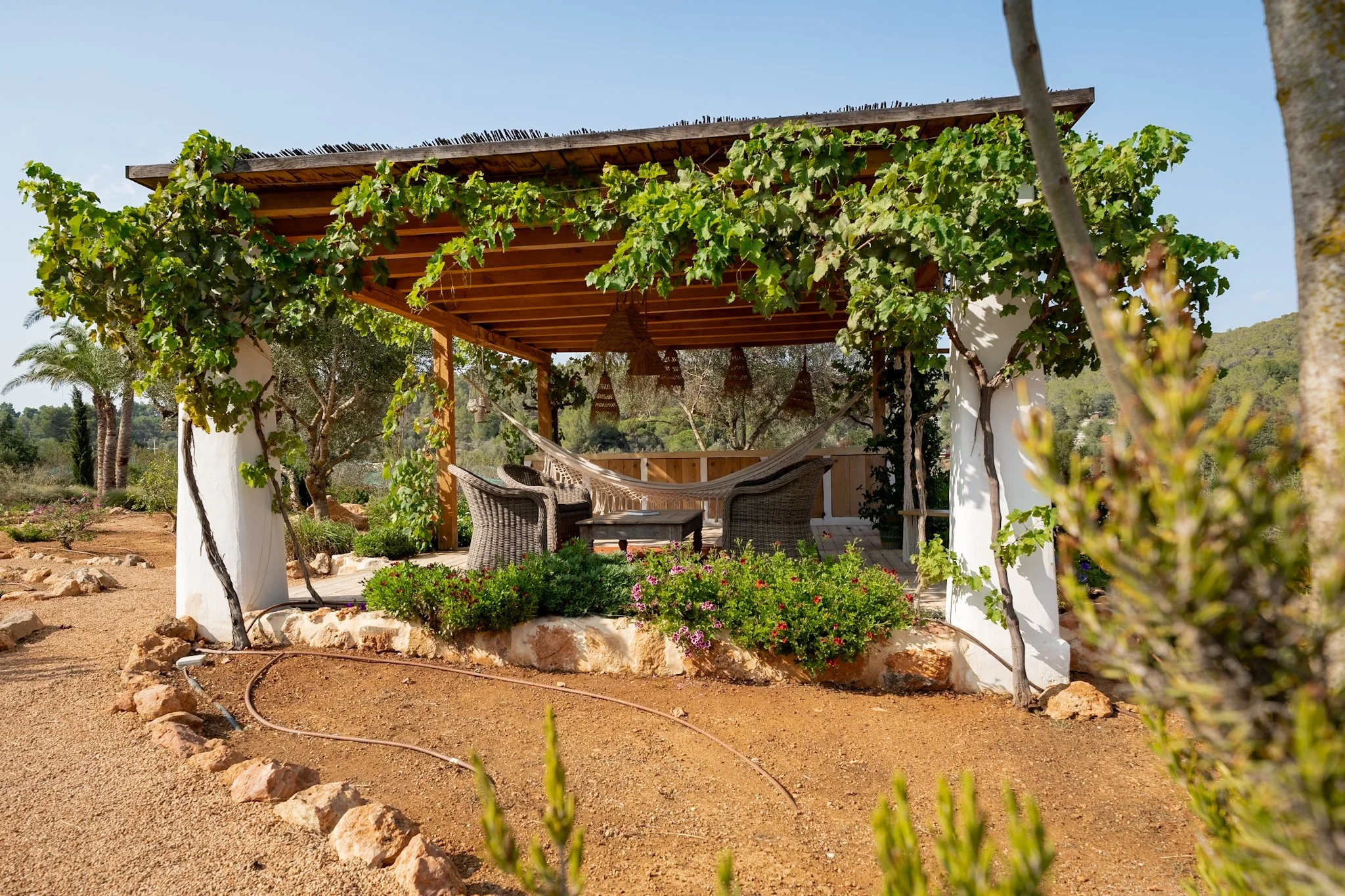 An image of the Cultural Center.