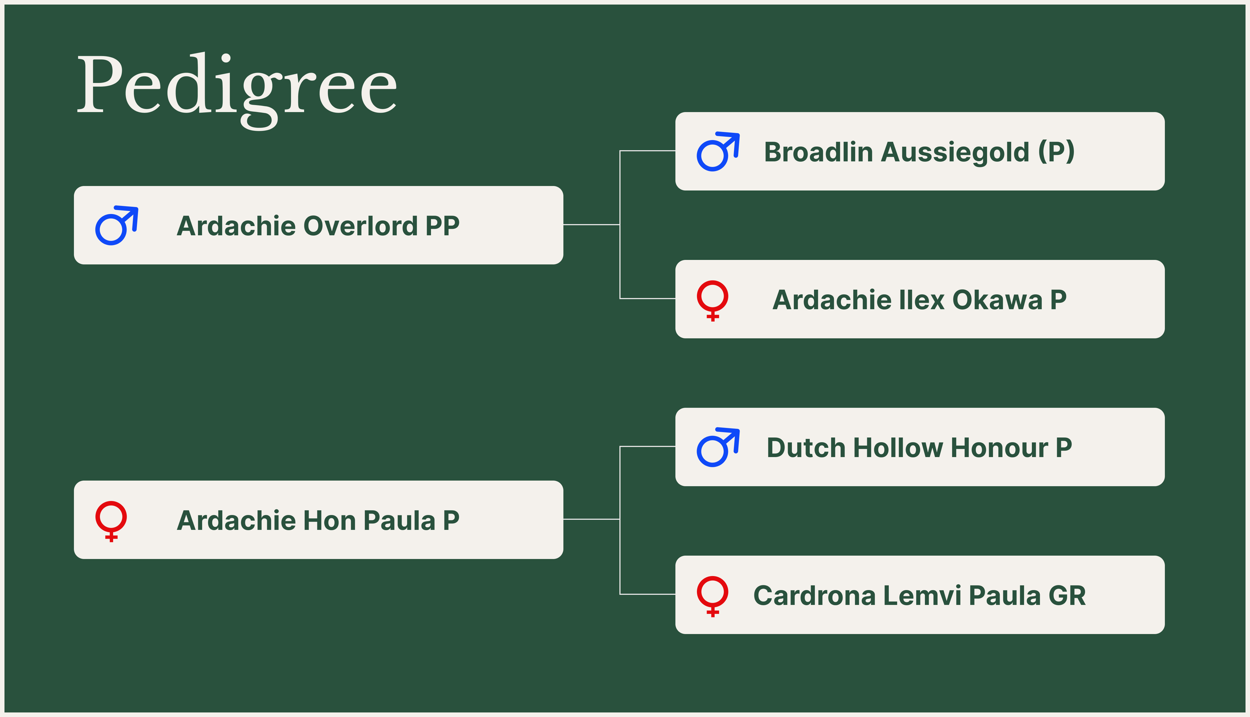 ArdachiePeacemakerPPpedigree.png
