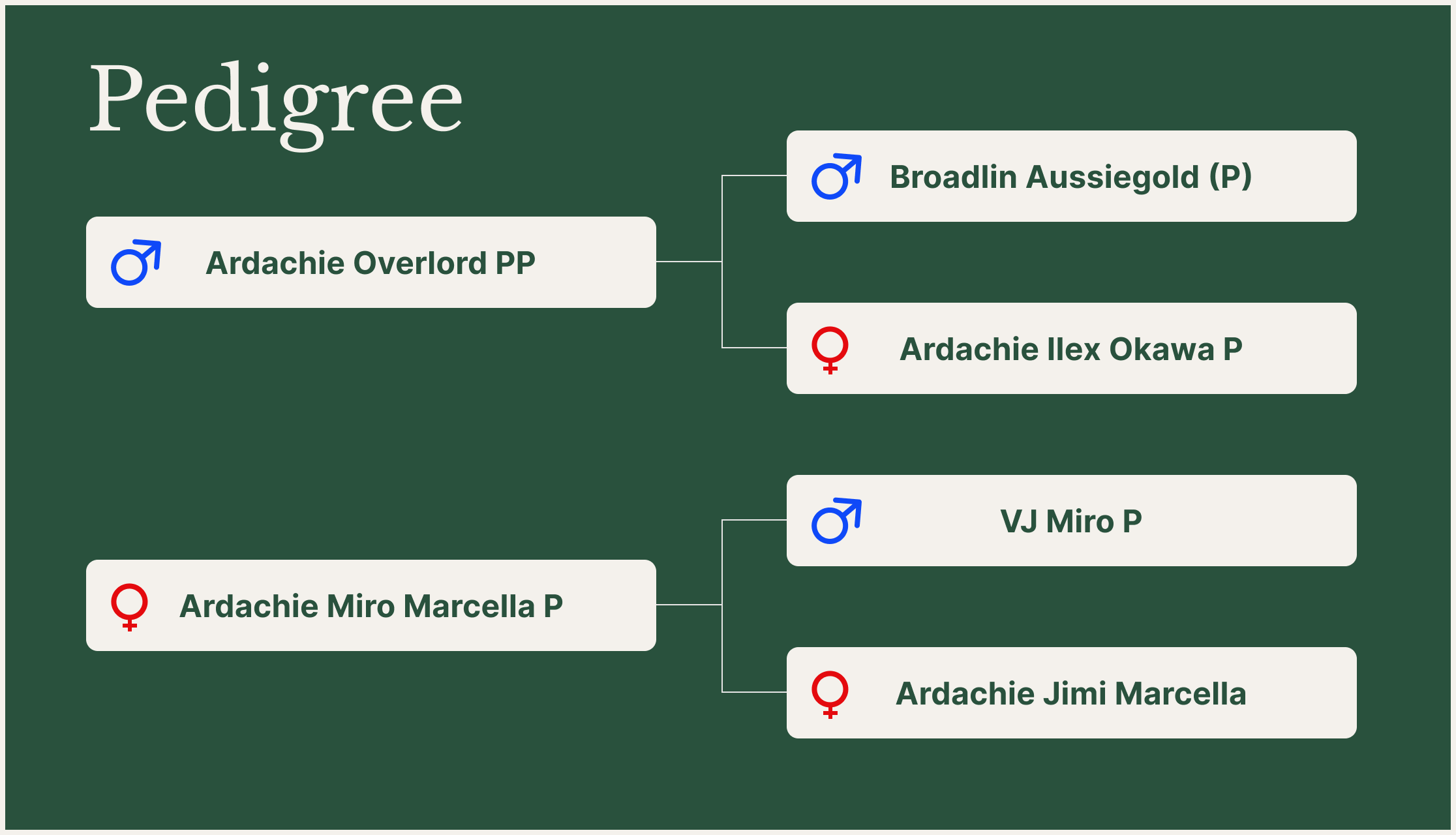 ArdachieMainbracePPpedigree.png