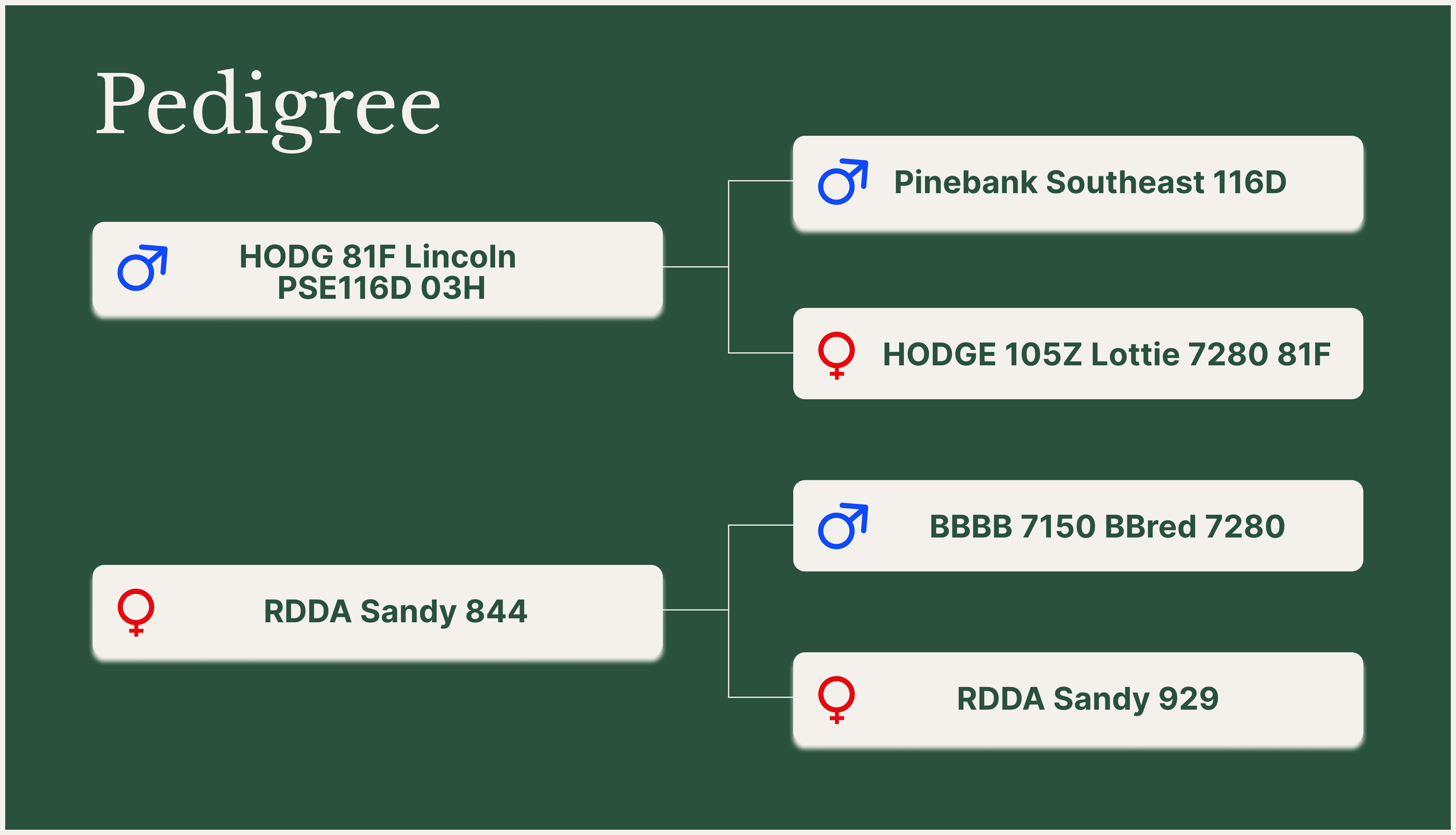 844 Beau 5th 03H 21Kpedigree.png