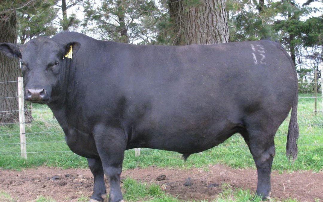 Glanworth Waigroup 1213