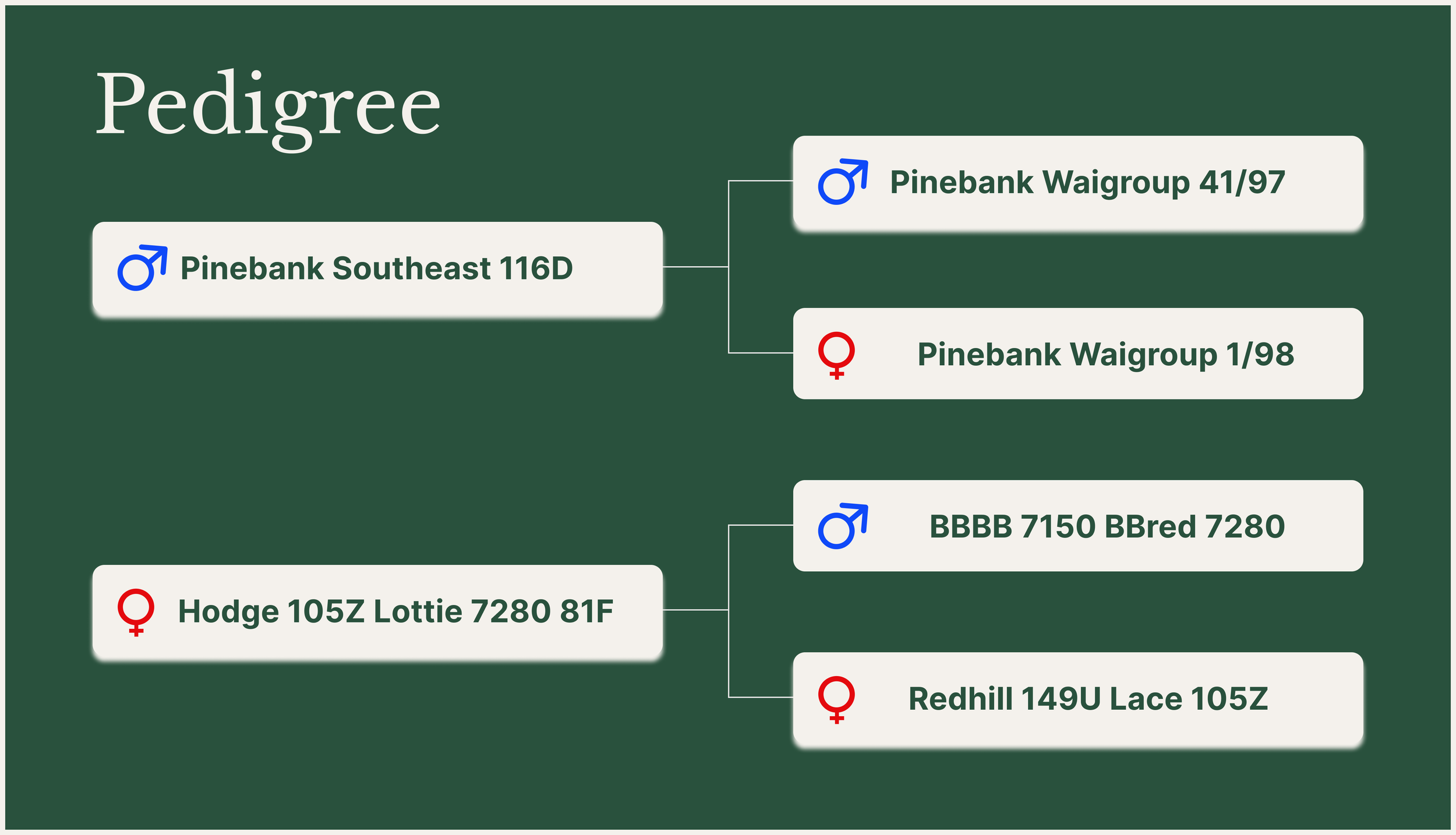 81FLincolnPSE116D03Hpedigree.png