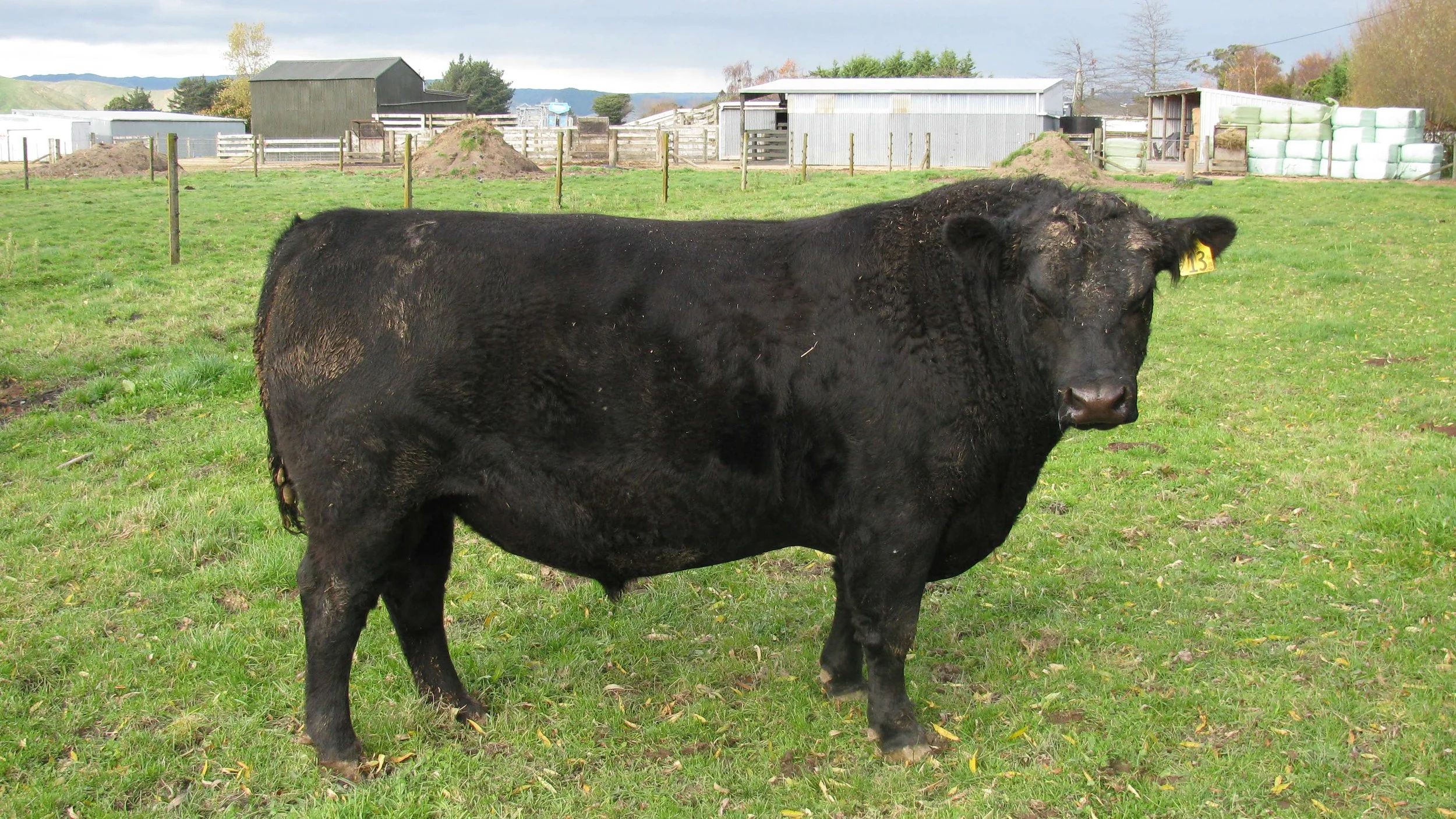 Glanworth Waigroup 1213