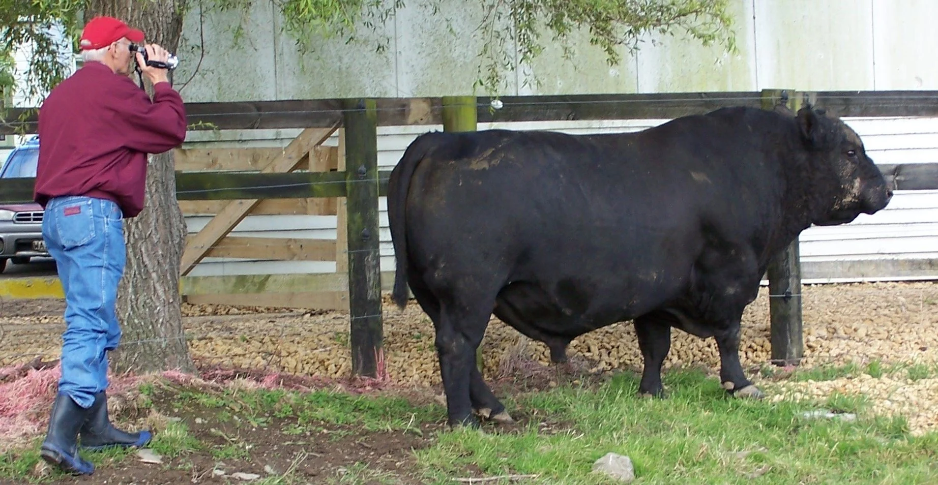 Hodge evaluating Pinebank 41/97