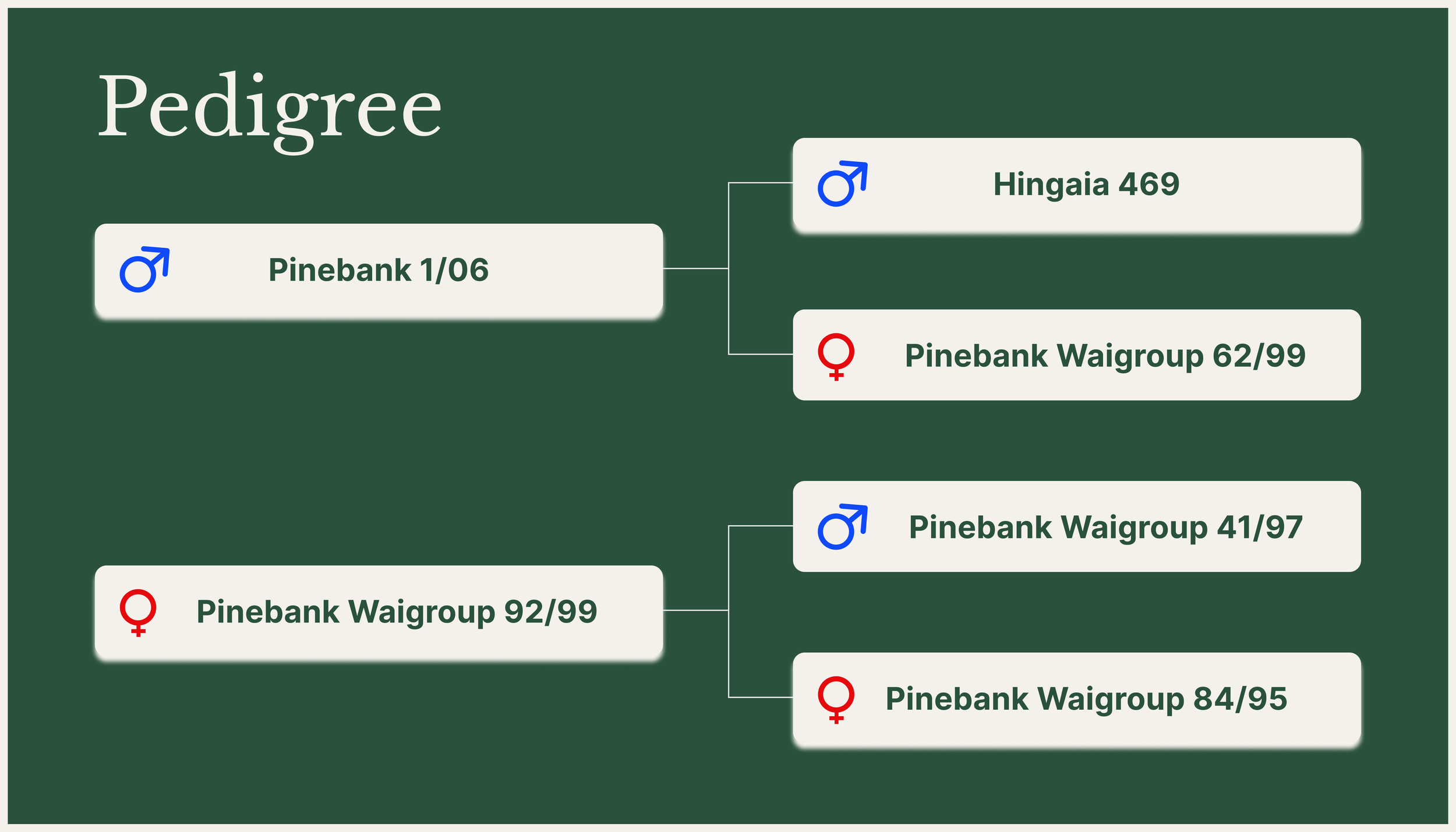 PinebankSE 9Dpedigree2.png